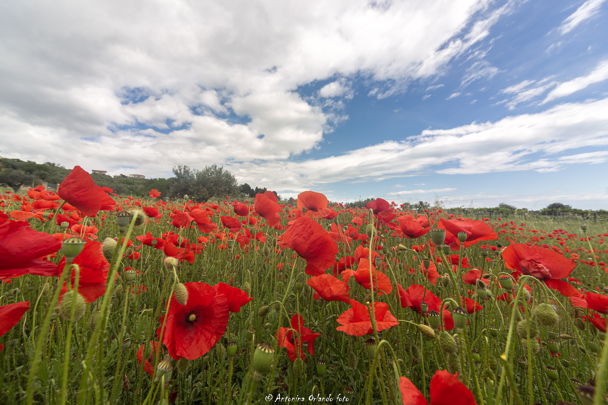 I cieli di maggio.