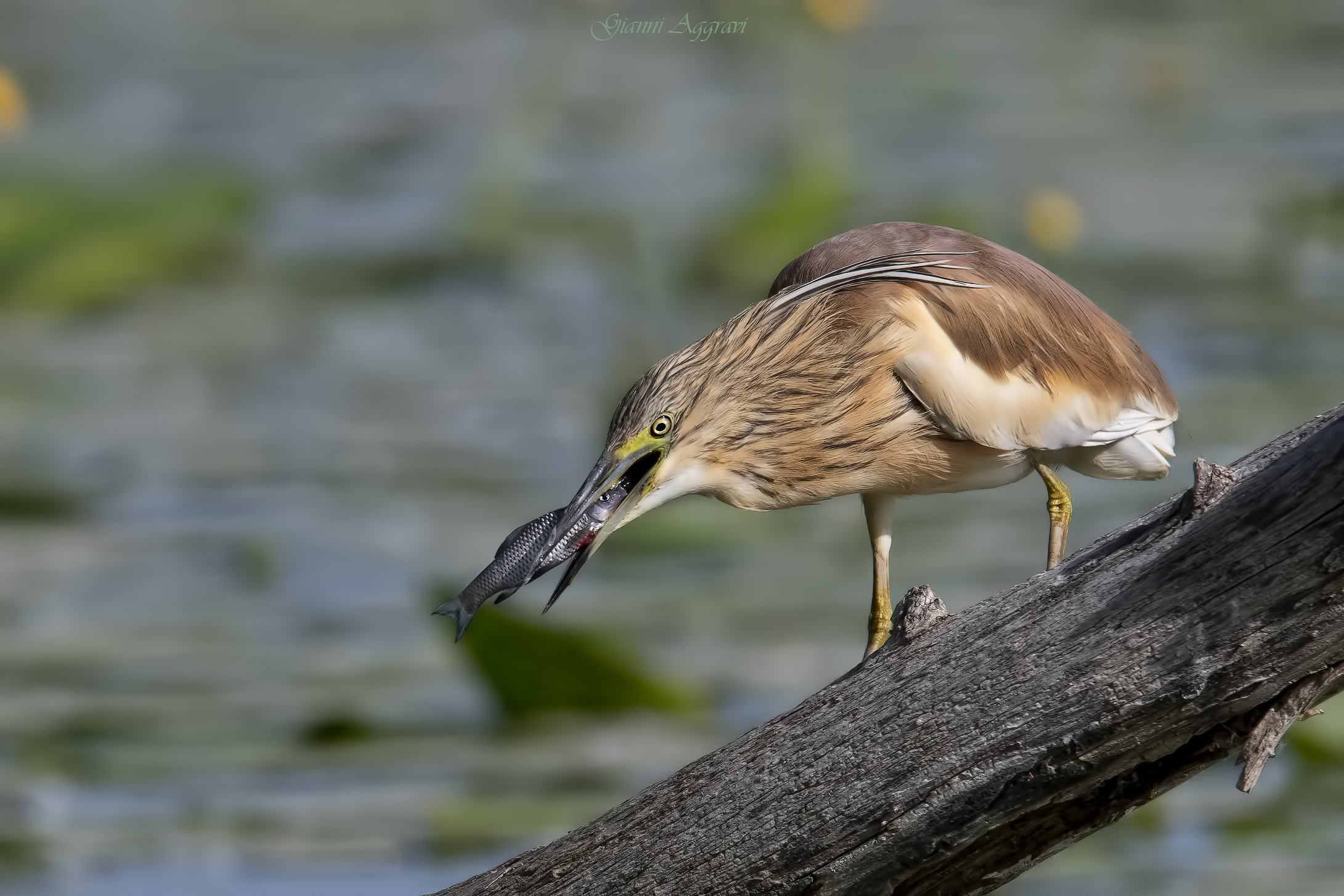 ...e finalmente si torna a scattare !!