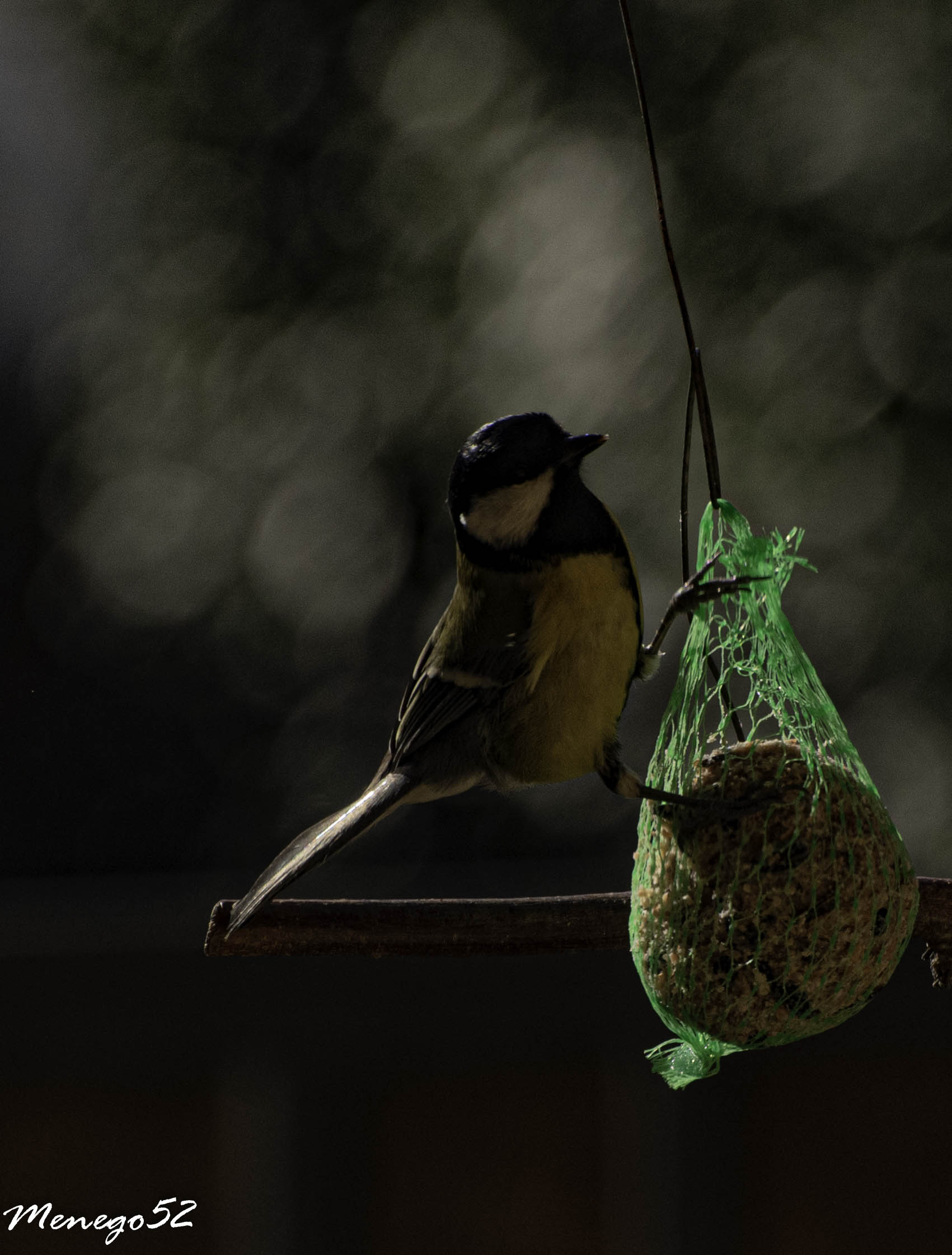 tincnciagra at lunch