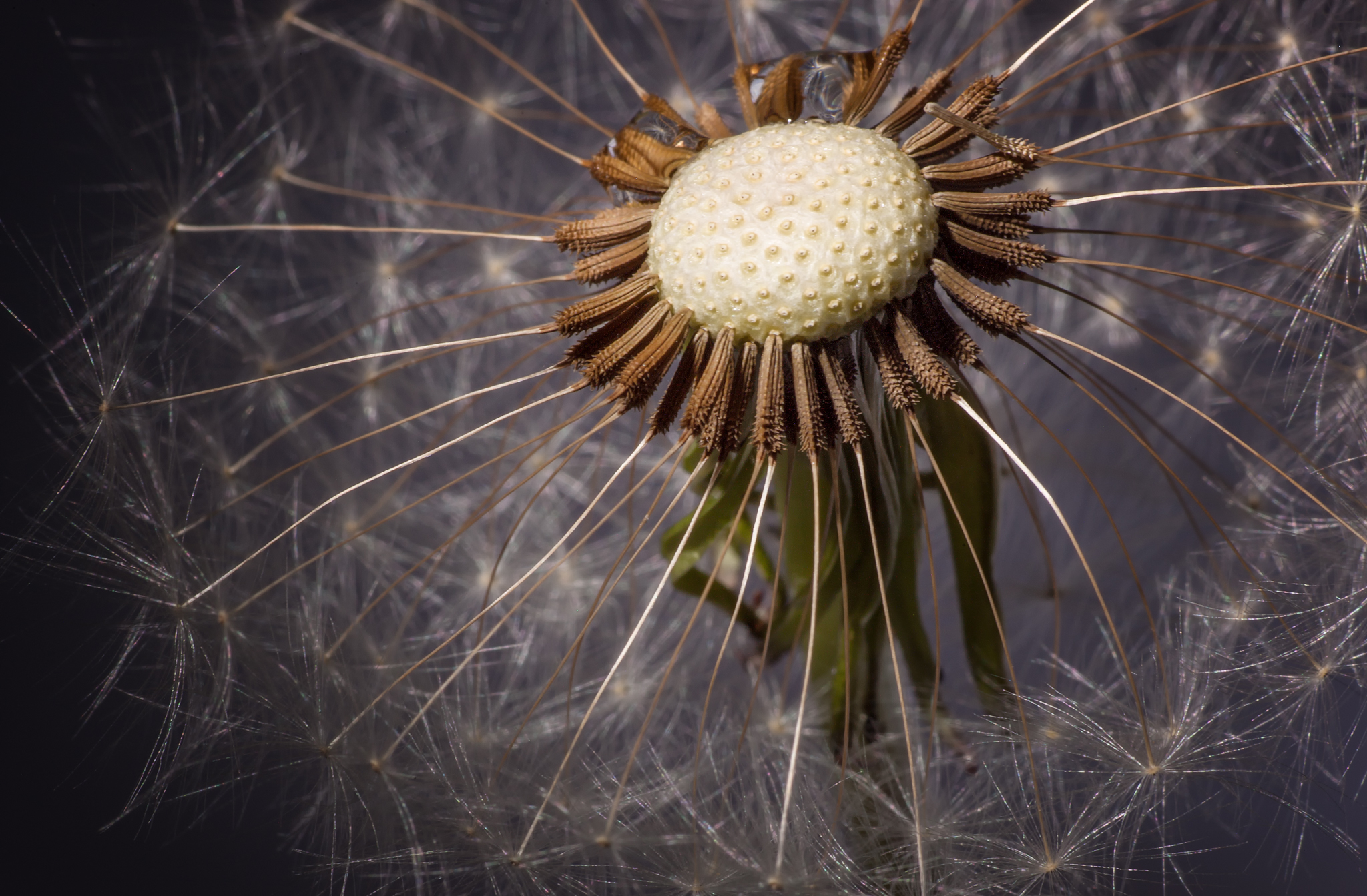 In the middle of the shower