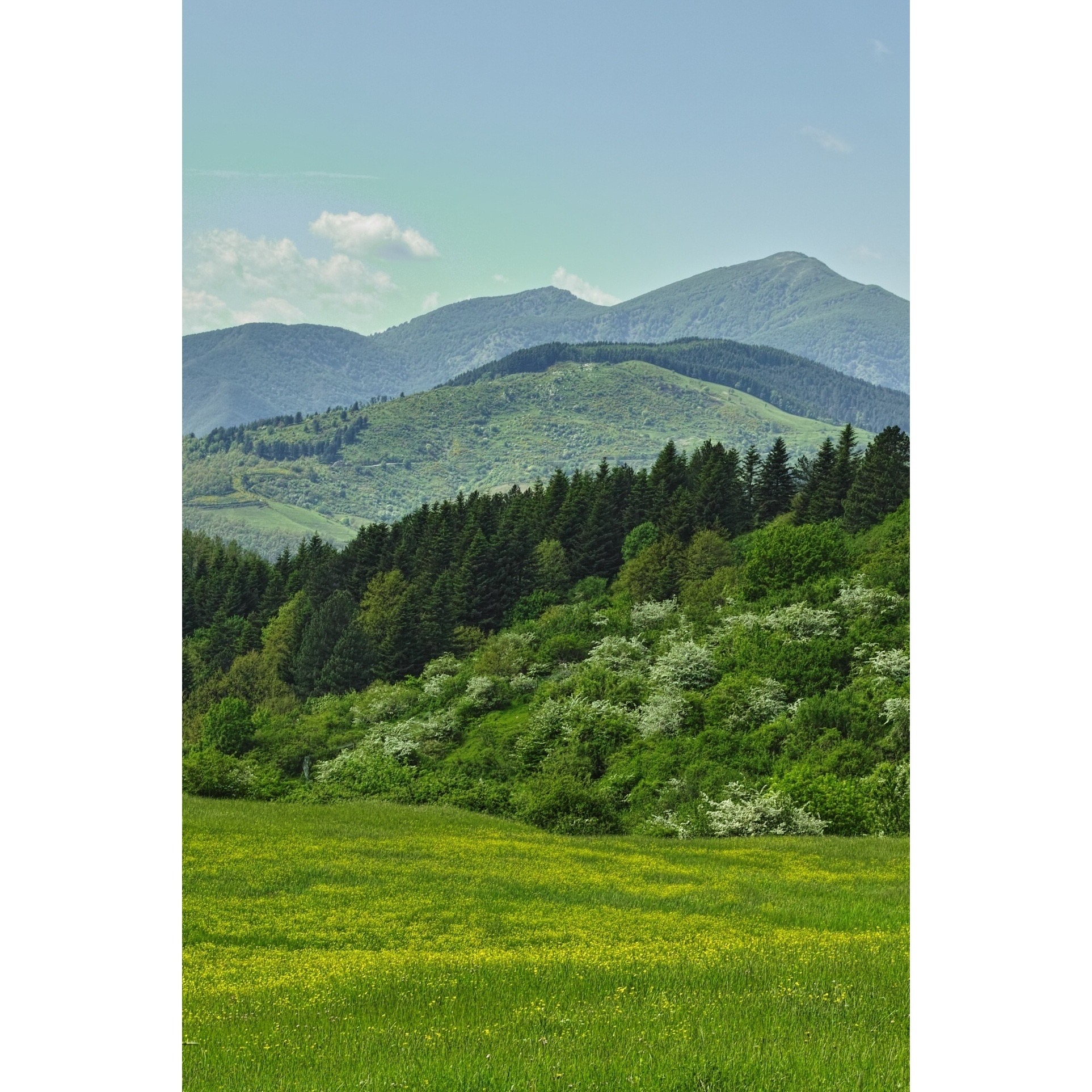 Spring