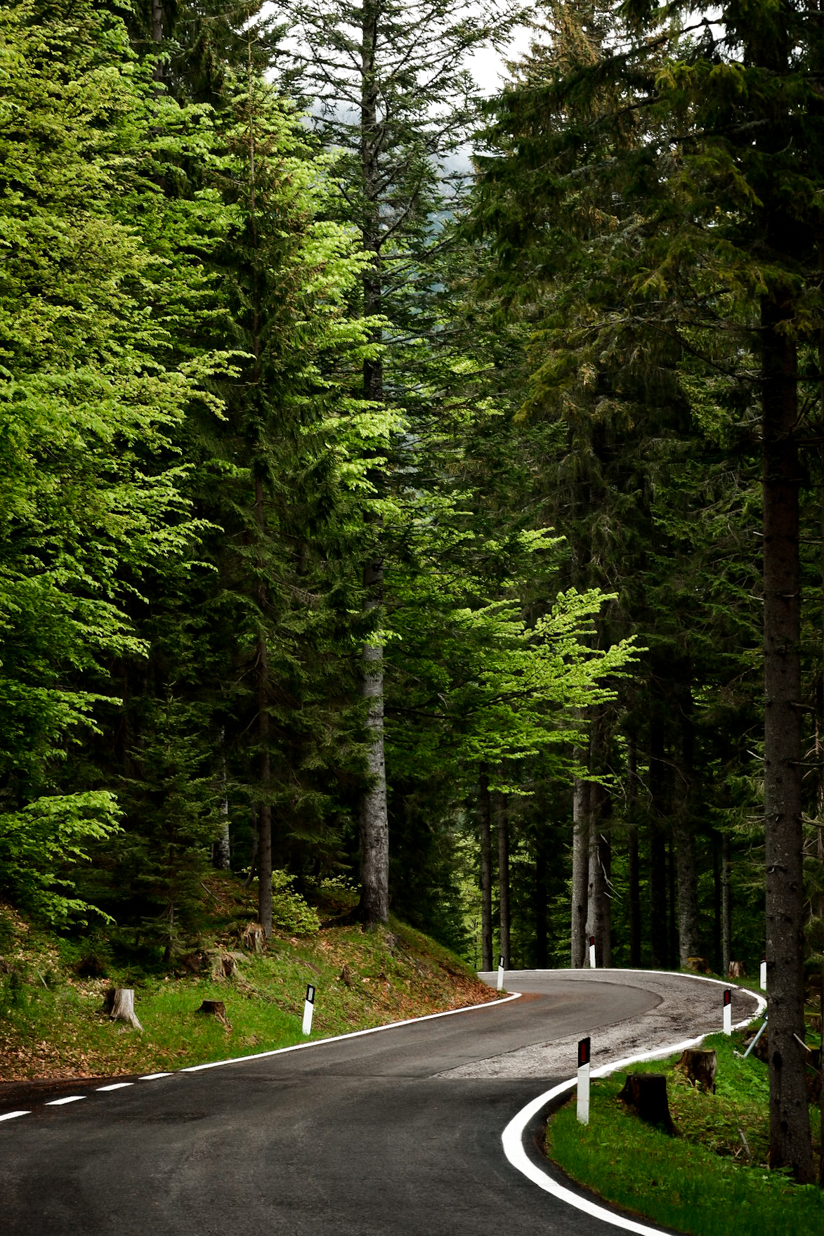 'Casa è alle spalle'