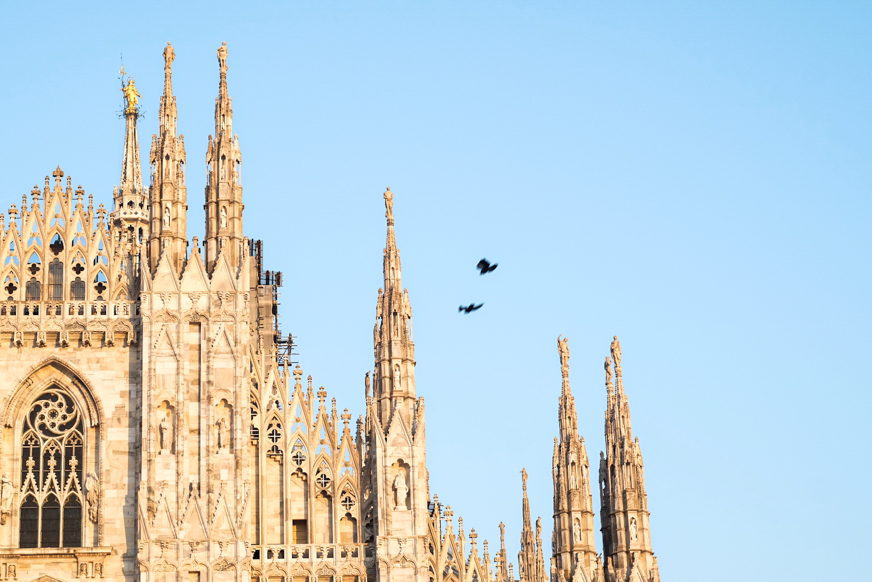 Cathedral, point of view