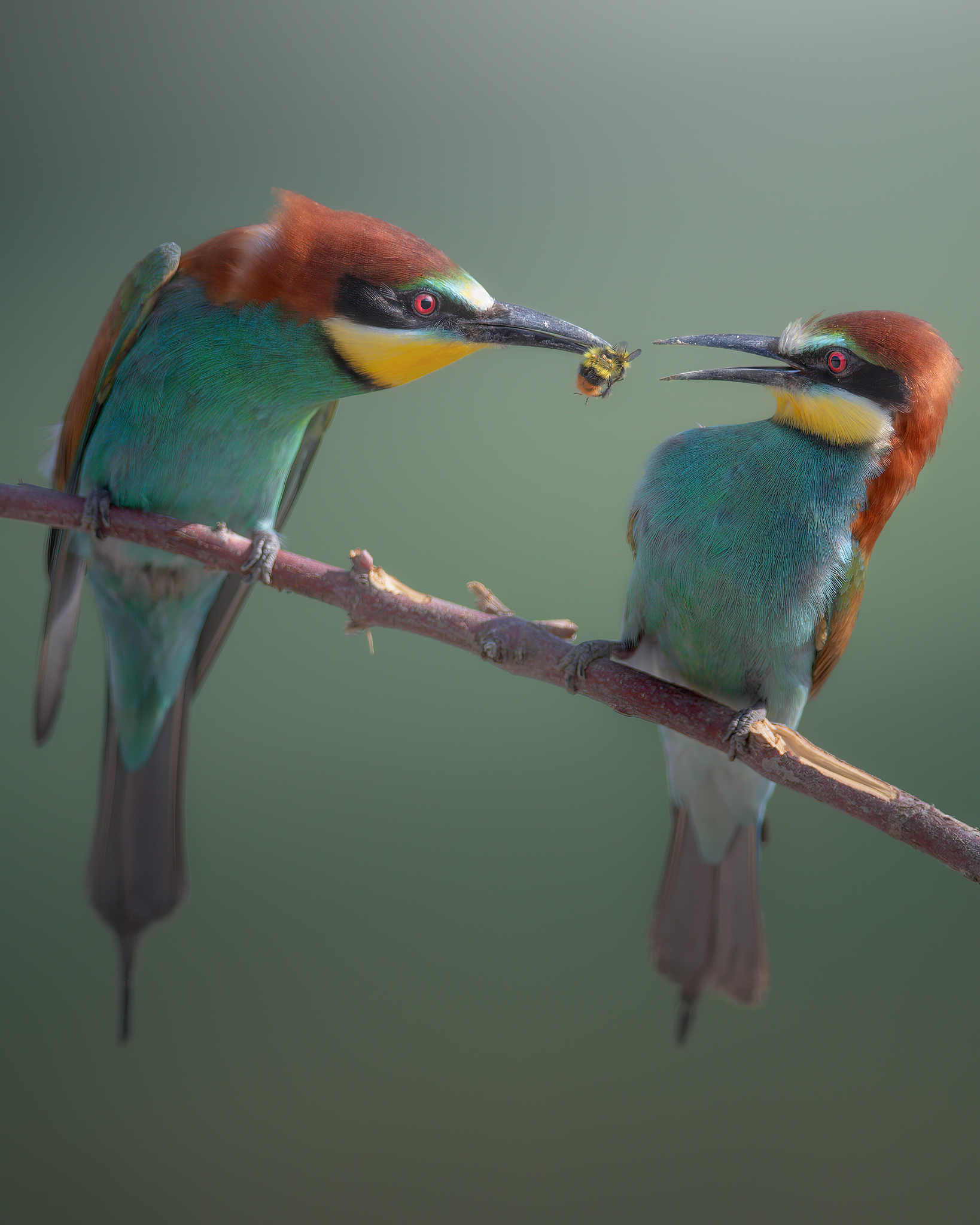 Surprise! This is for you!