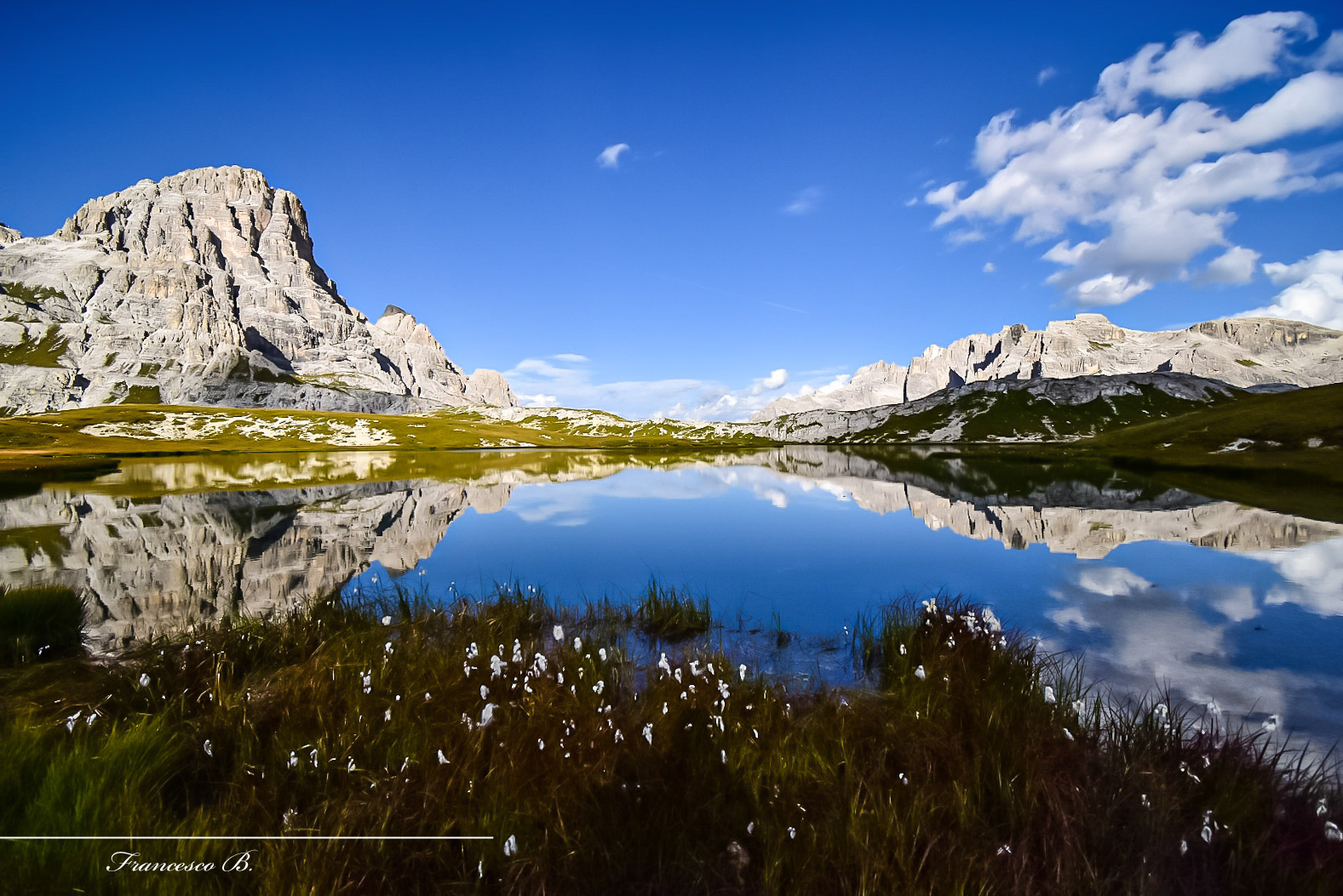 Reflections of tranquility