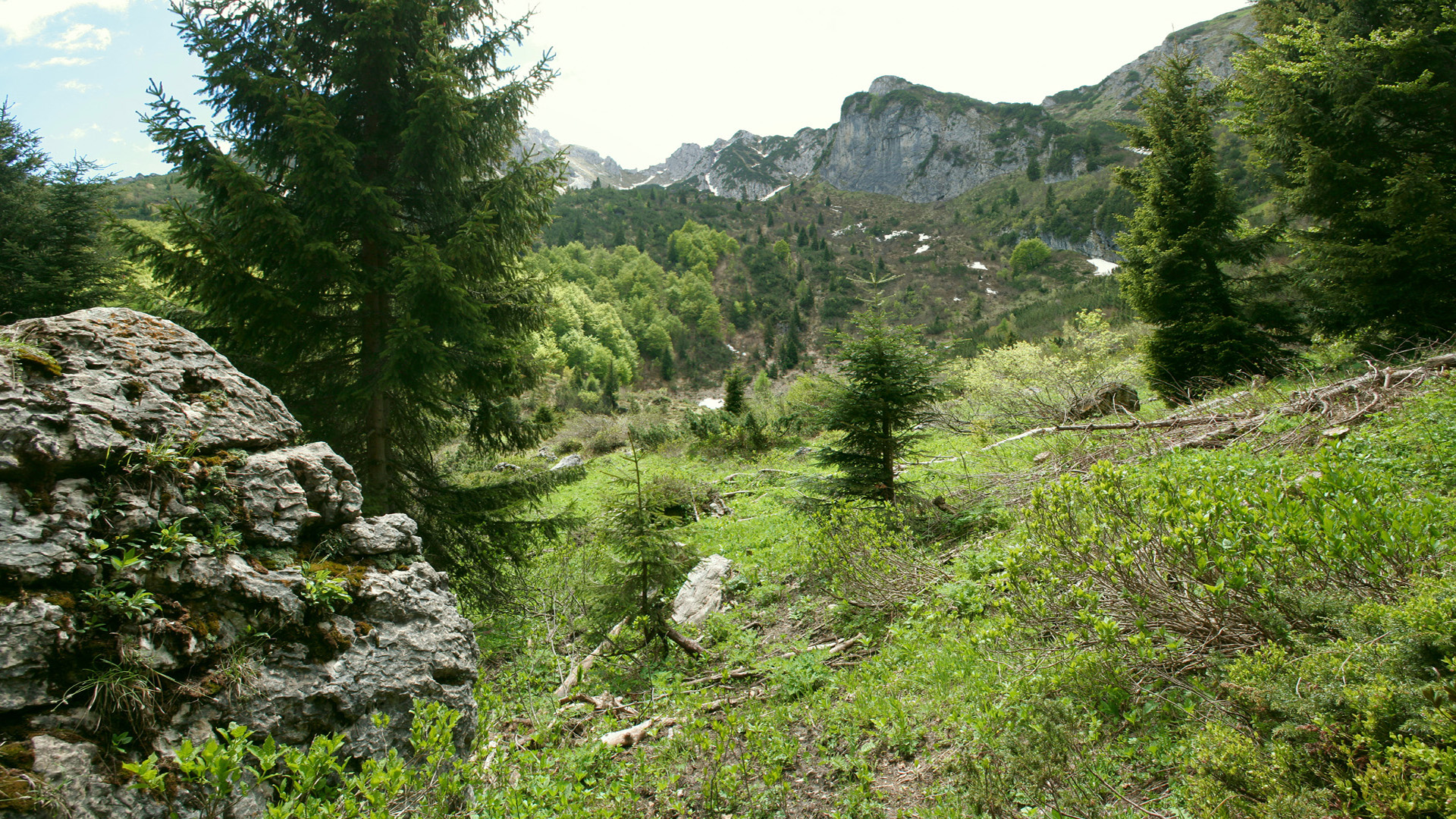 Val Marcia (Balbido - Tn)_collage 4 foto