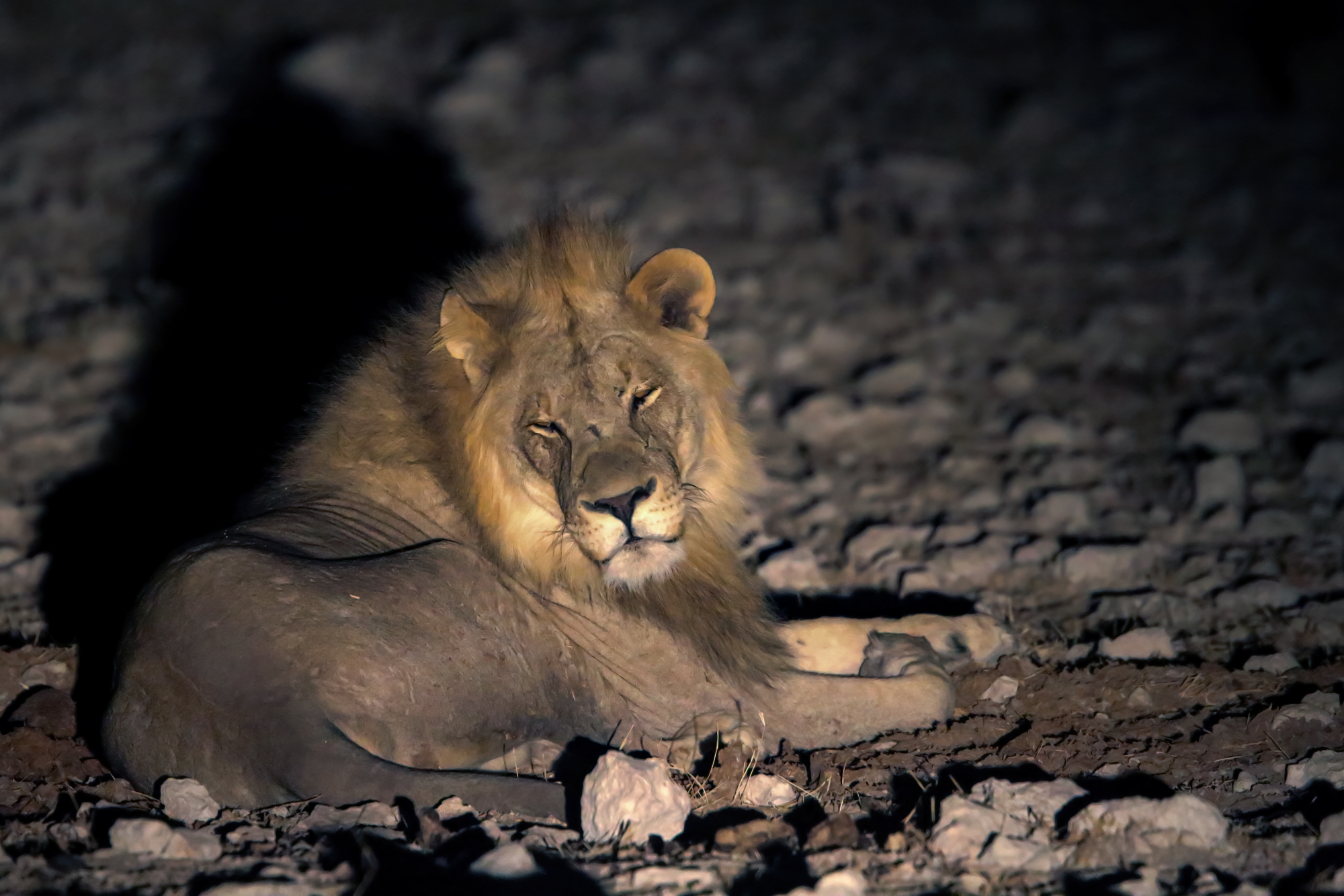 e vattene con 'sta luce