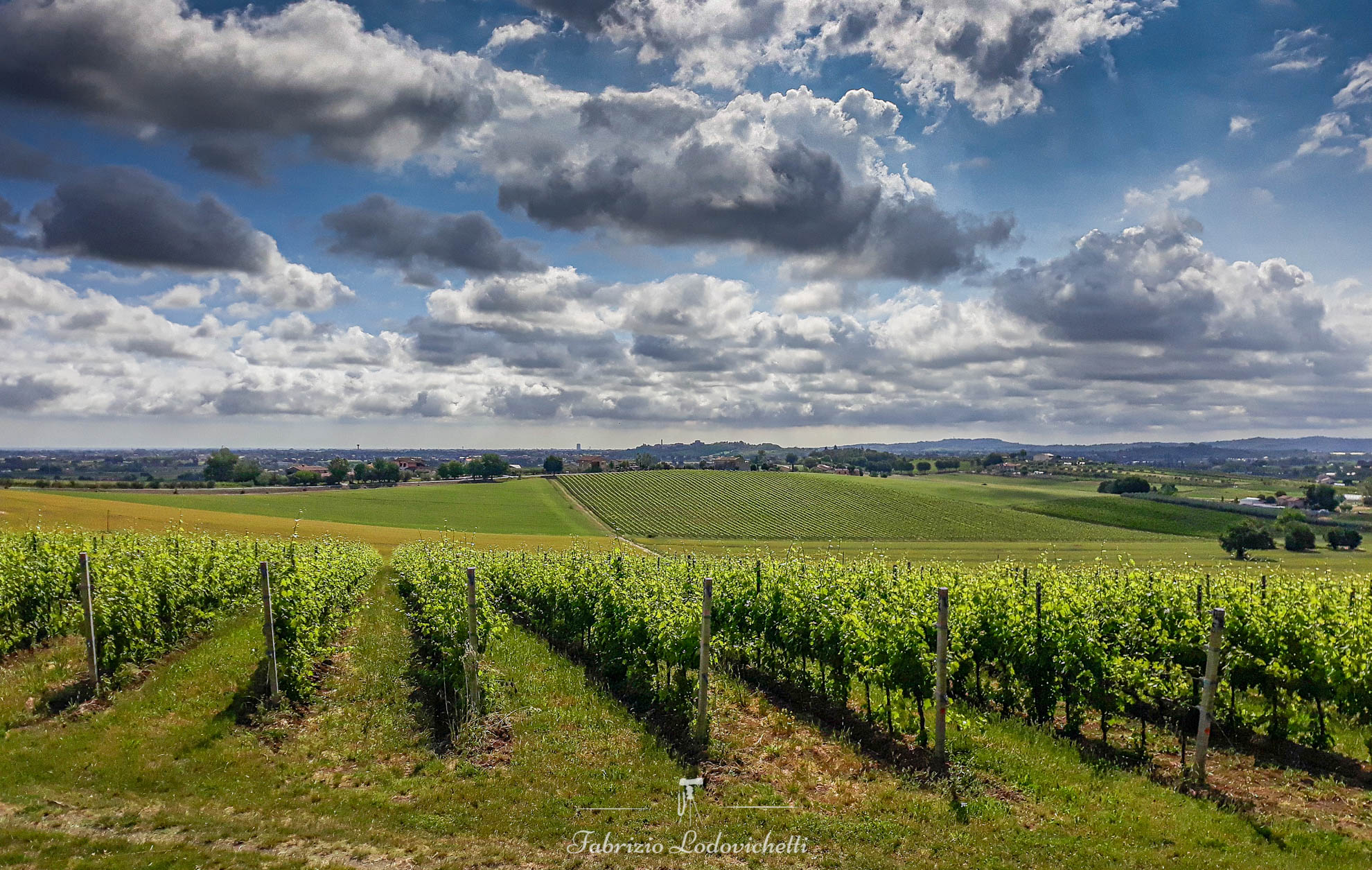 Le dolci colline romagnole