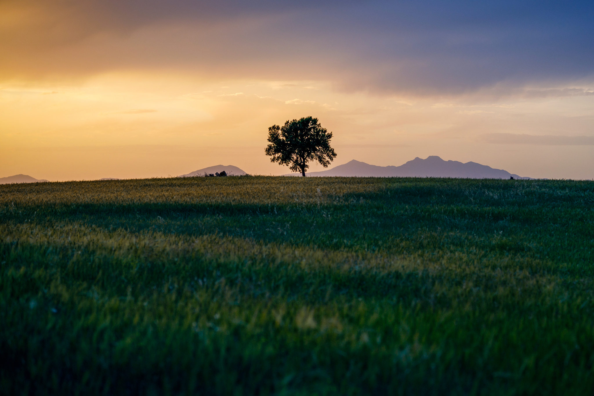 La quiete dopo la tempesta