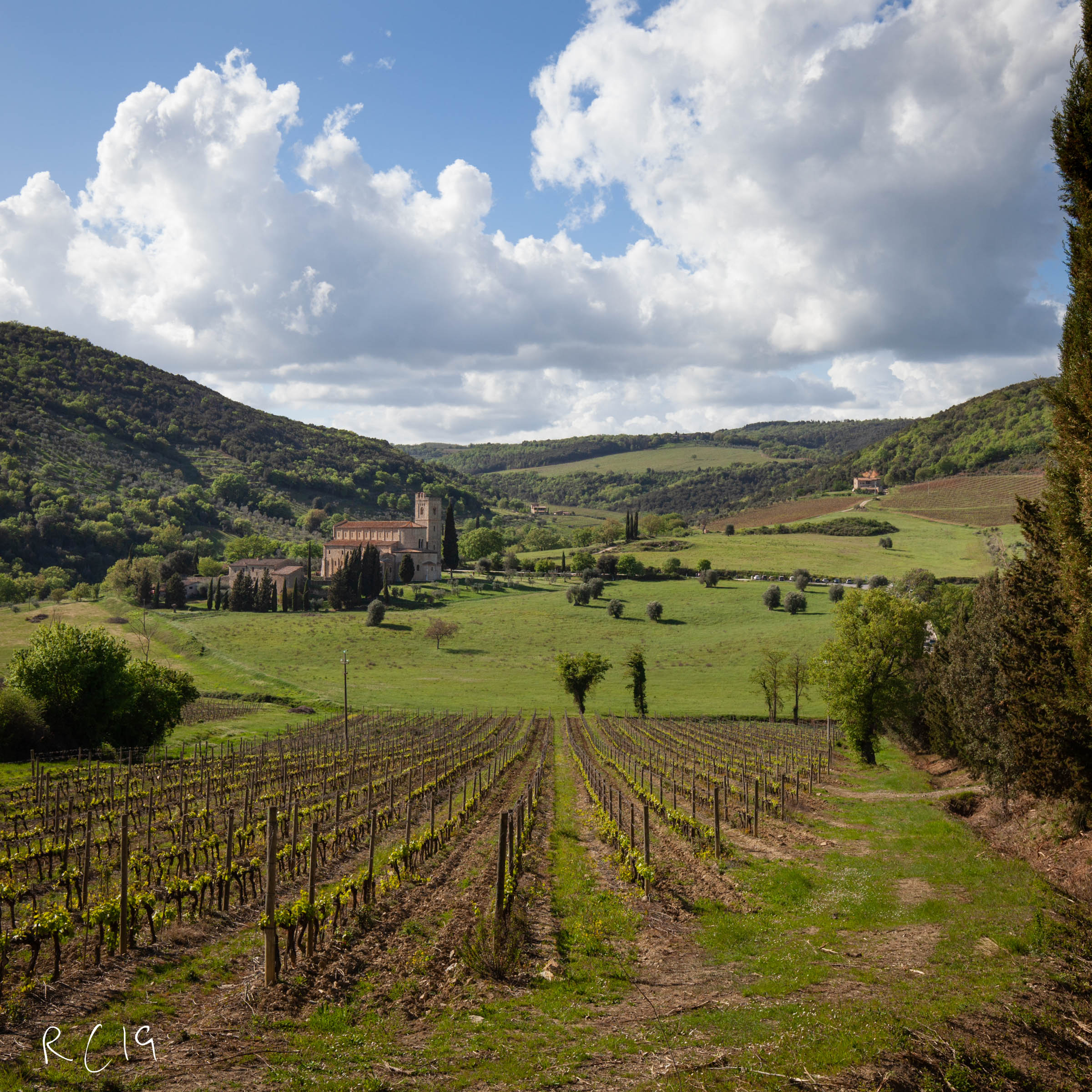 Sant'Antimo - Montalcino (Sl)
