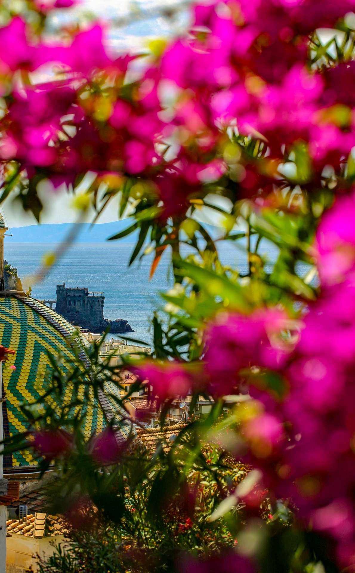 From the Path of Lemons