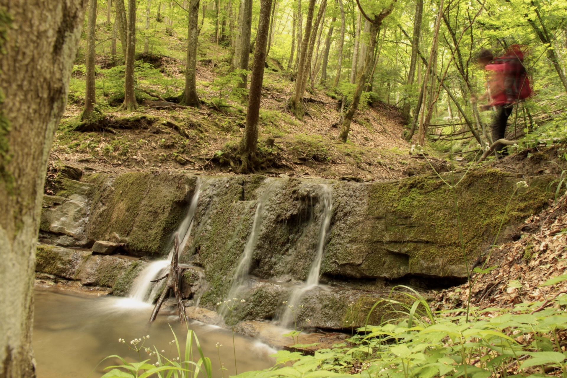 Attraversando il ruscello