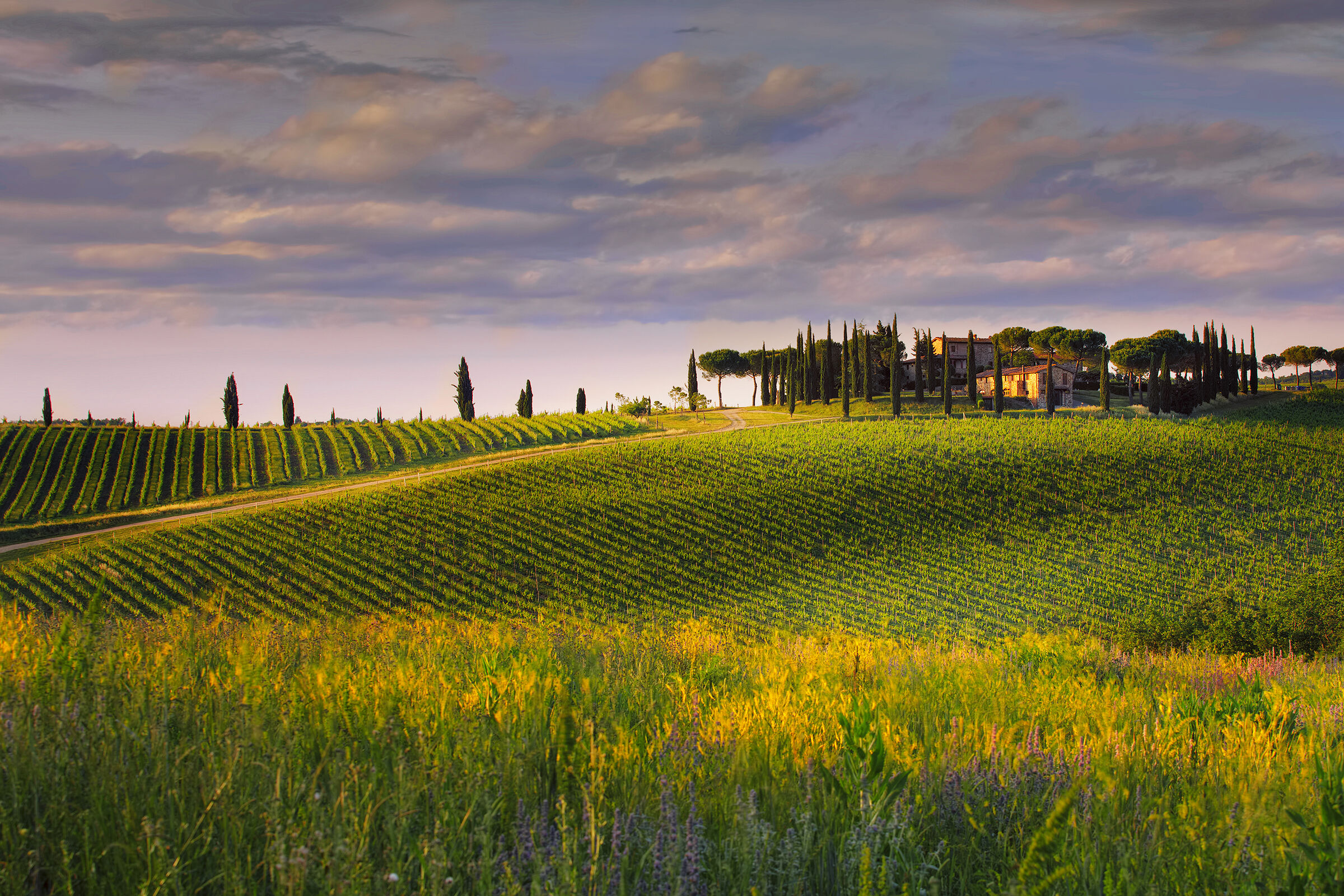 Florentine Hills