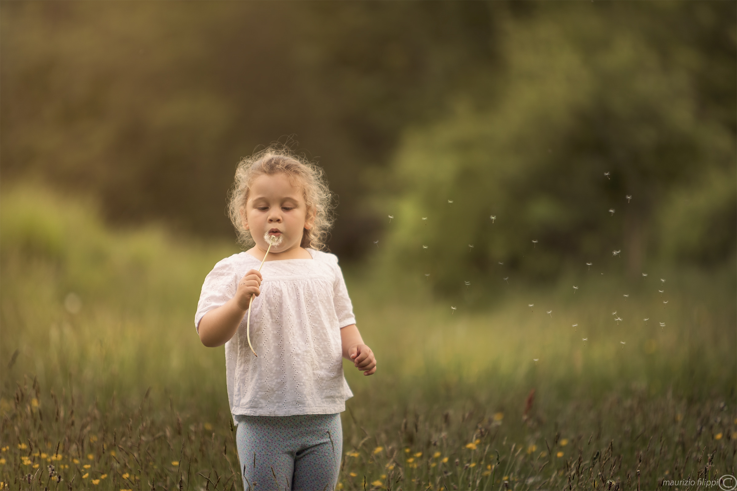 Virginia e il soffione