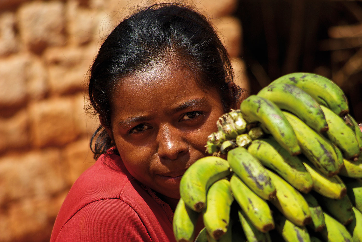 The seller of bananas Analaroa