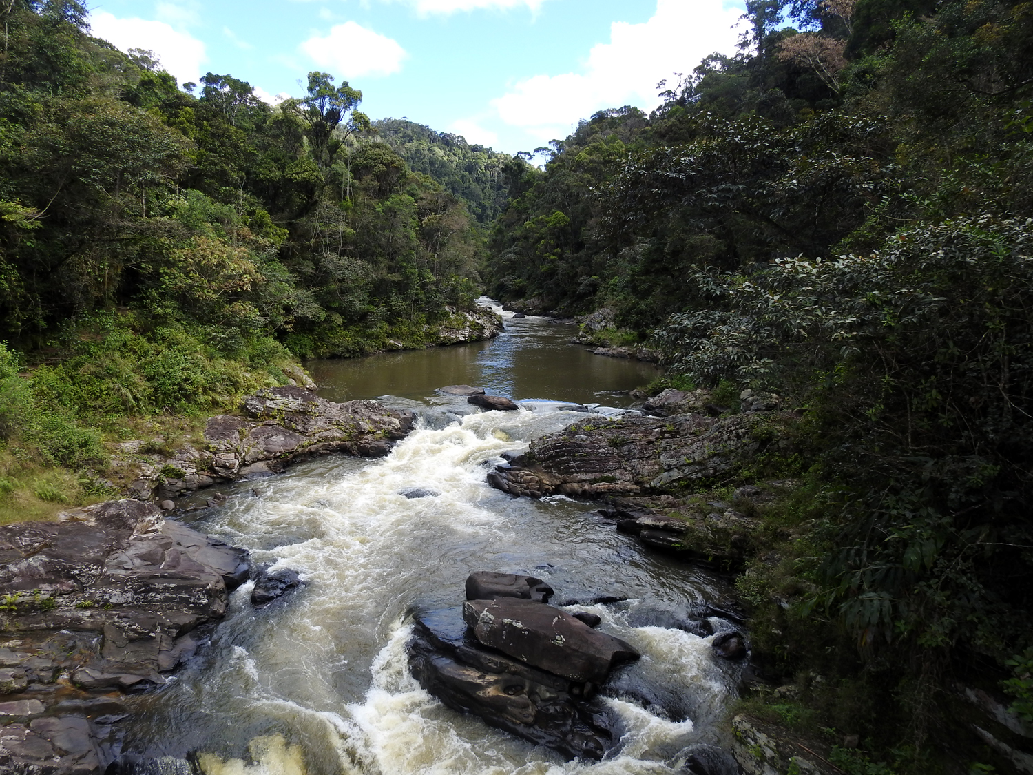 19-07-2019 Ranomafana National Park, Madagascar