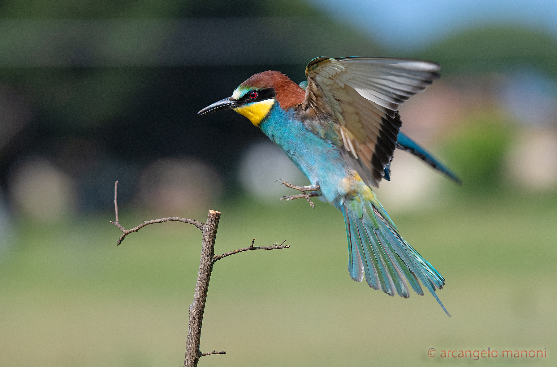 Cogli l'attimo fuggente