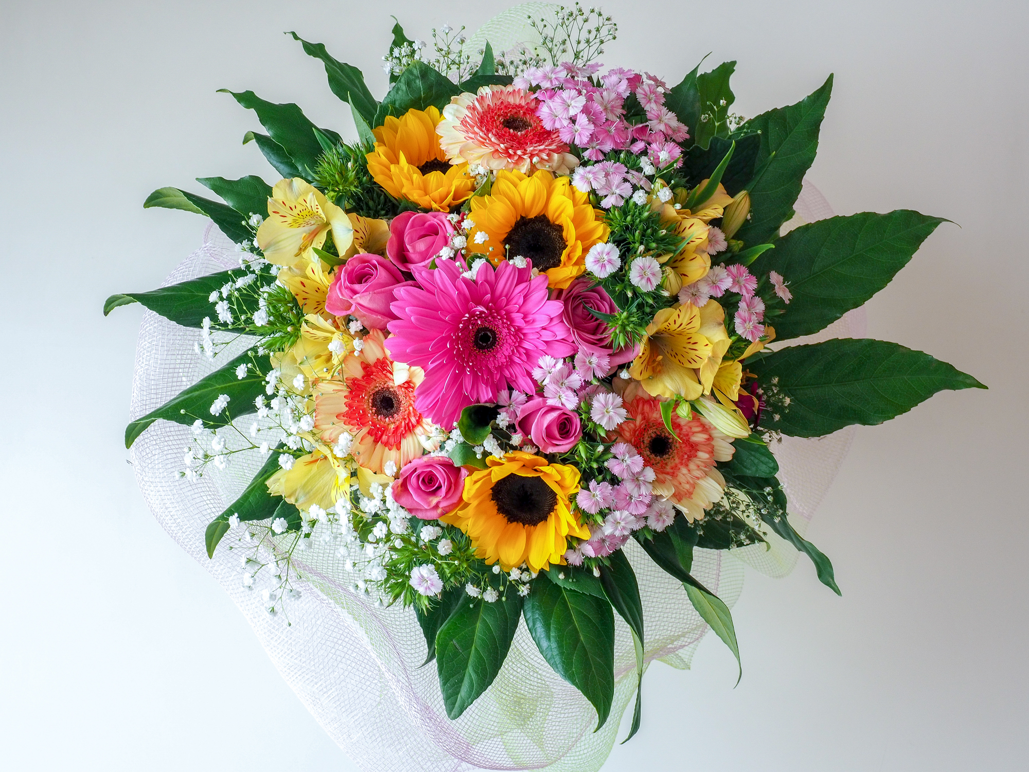 Fiori.....i colori della natura