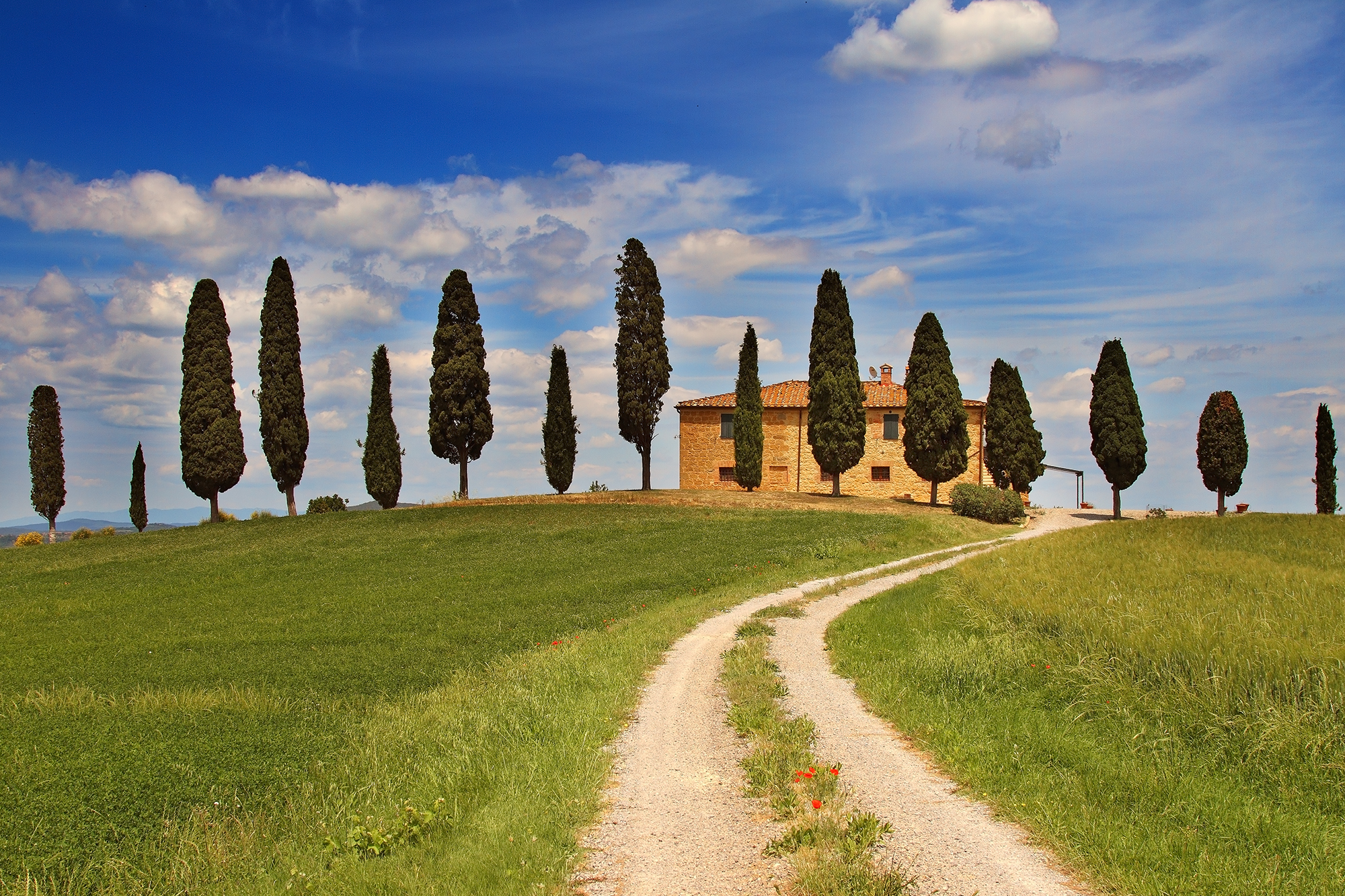 Il ritorno della speranza