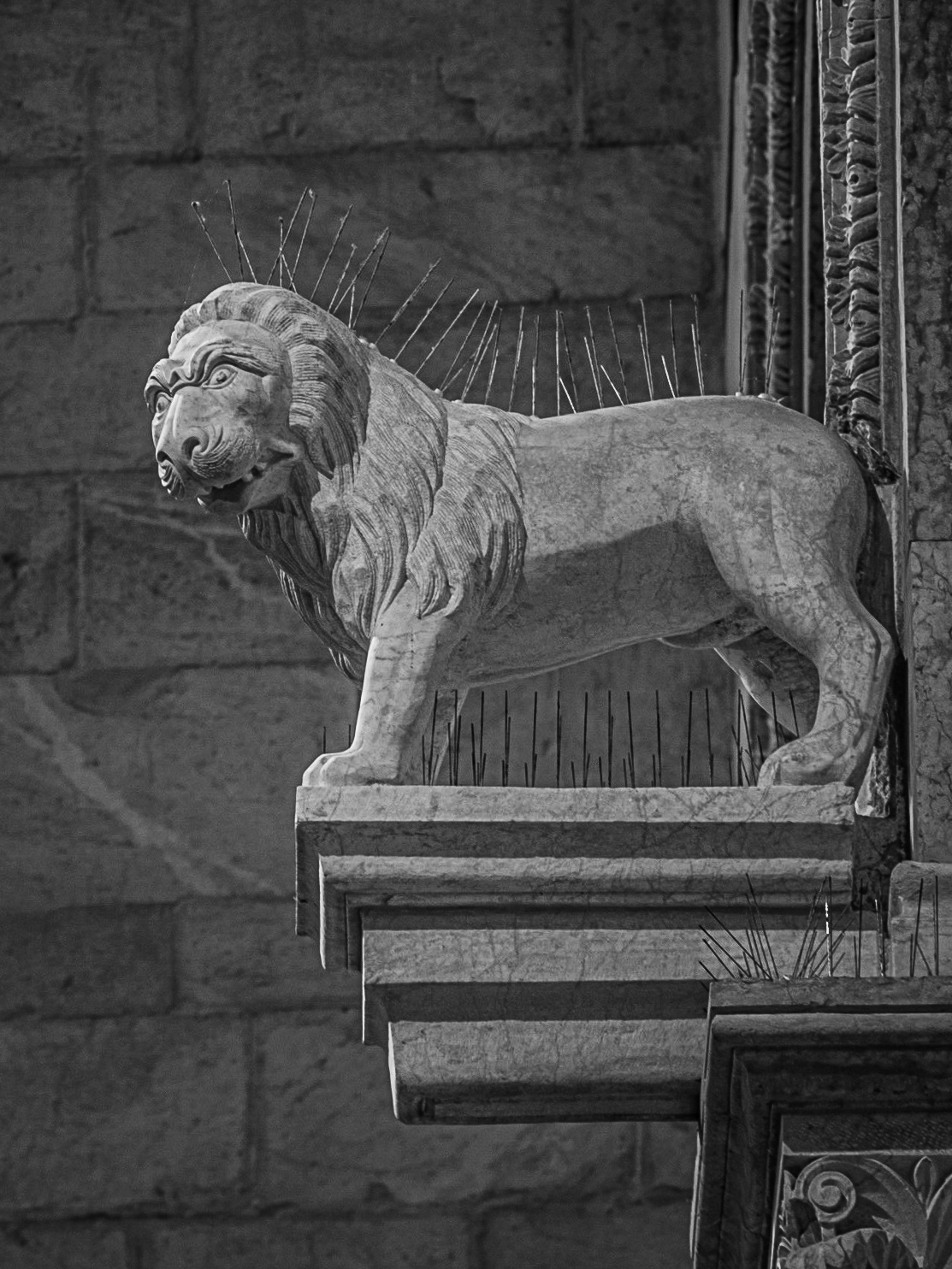 St. Martin's Cathedral, Lucca