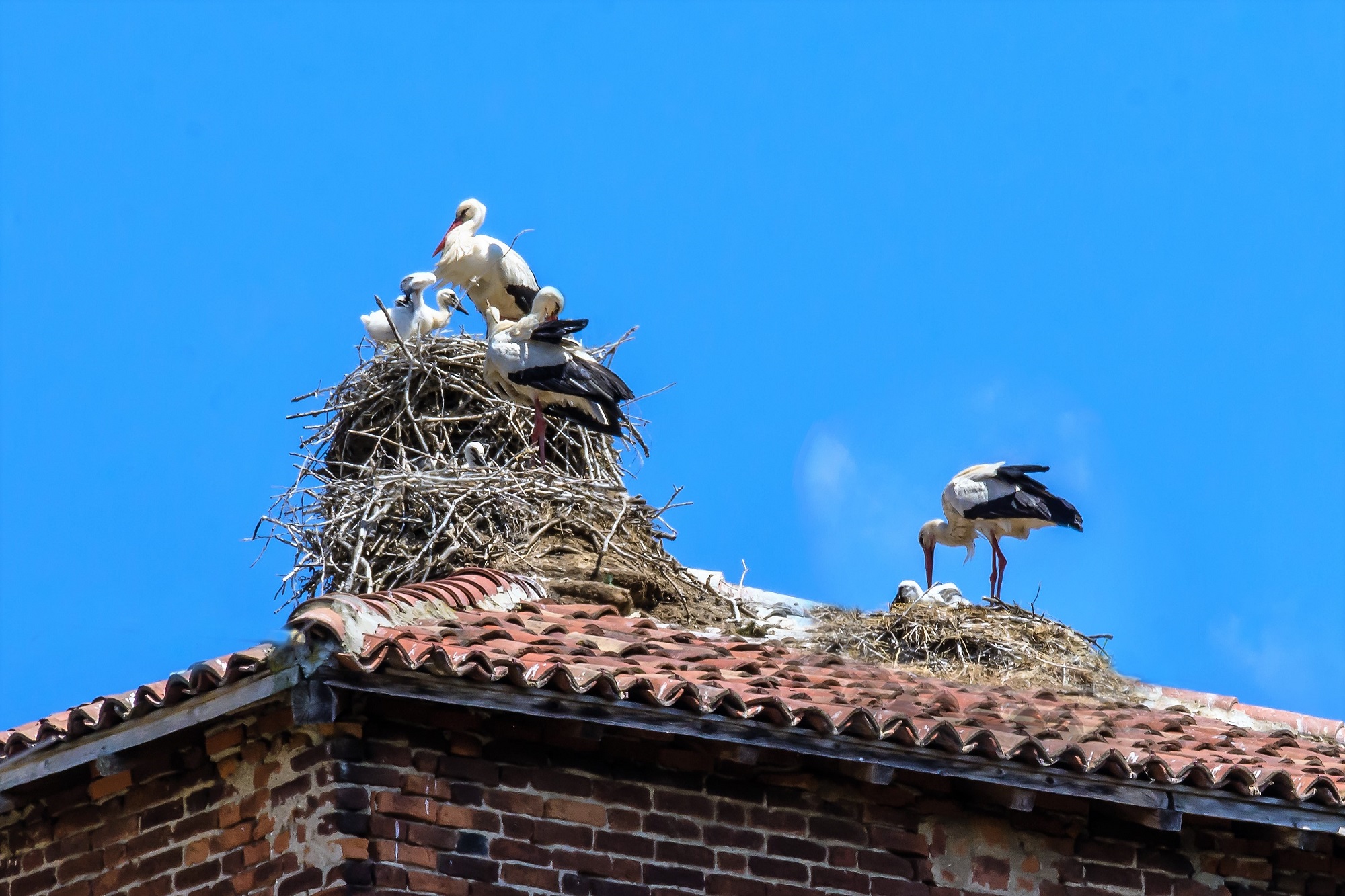 Residence... Le Cicogne