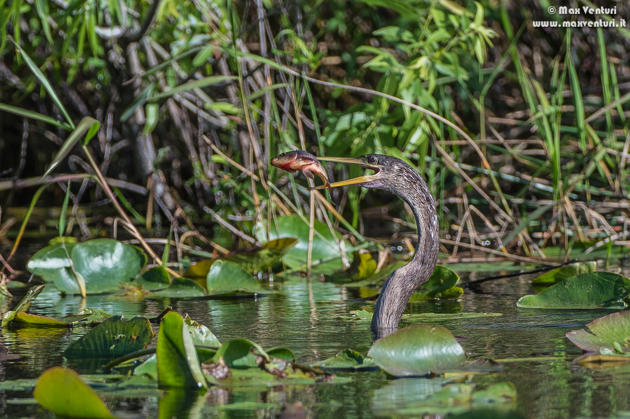 A selection of my best photos based on my own