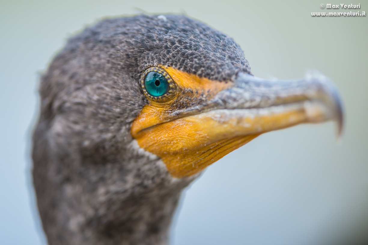 A selection of my best photos based on my own