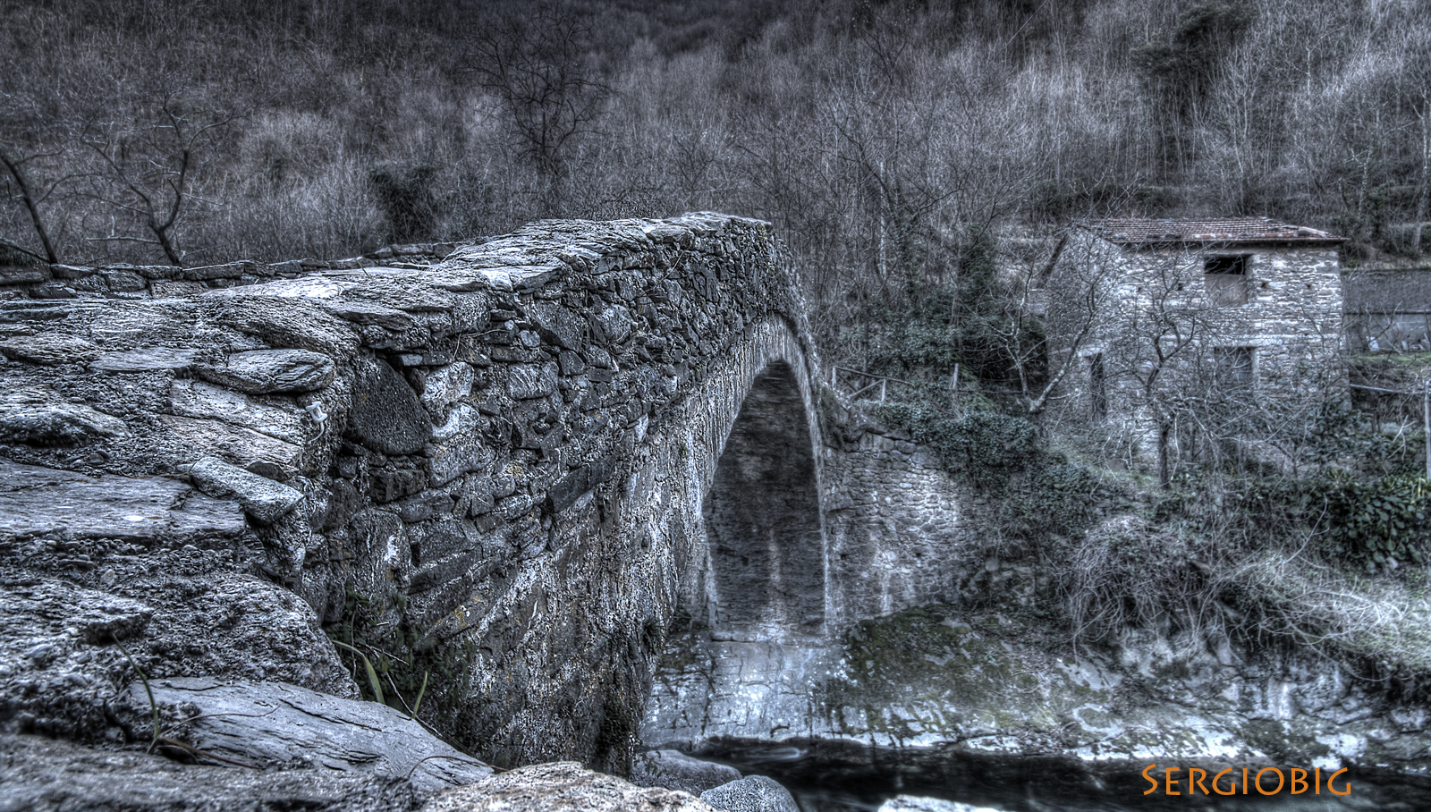 Bridge the "Borgo"