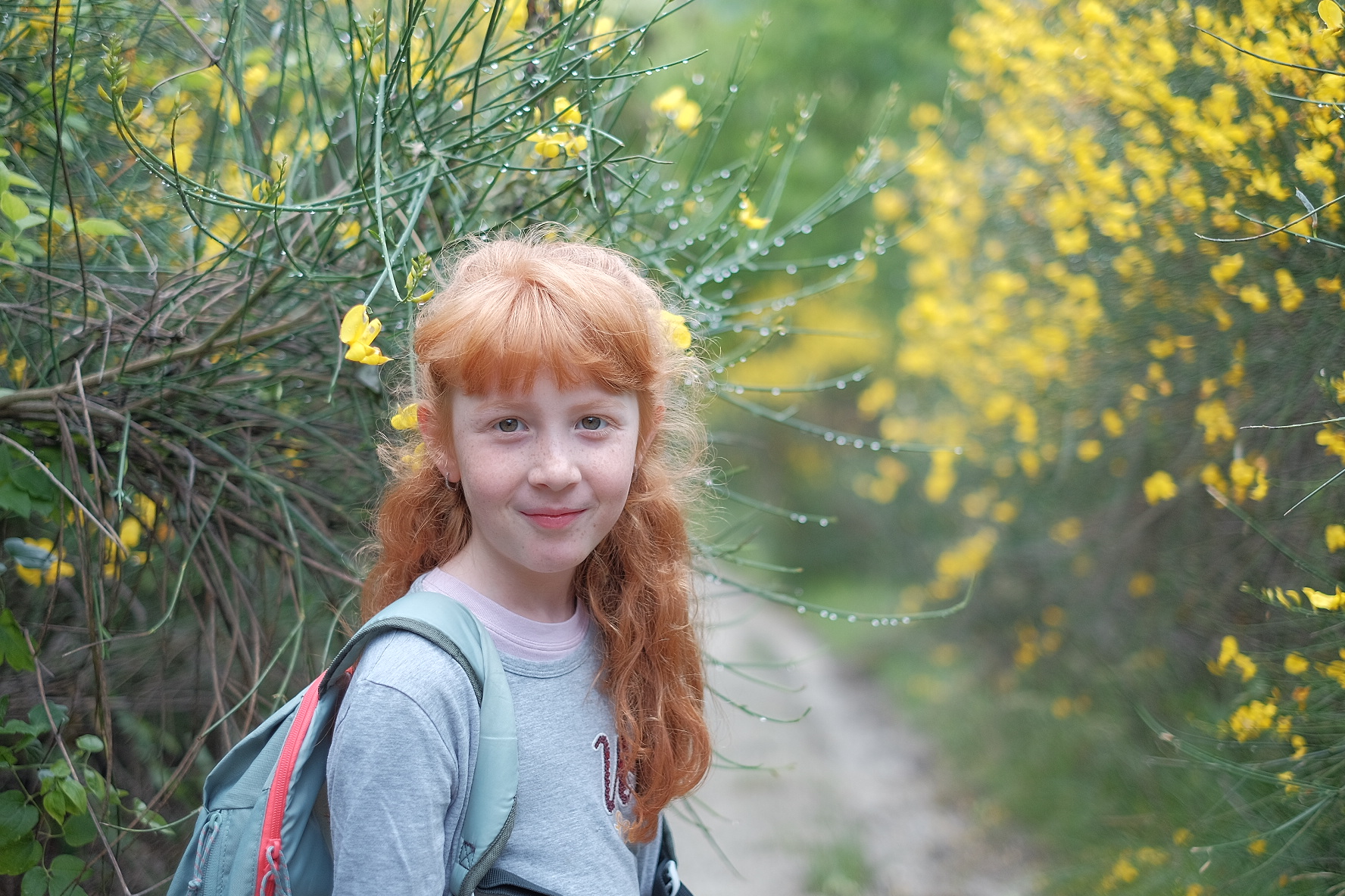 The time of the brooms....