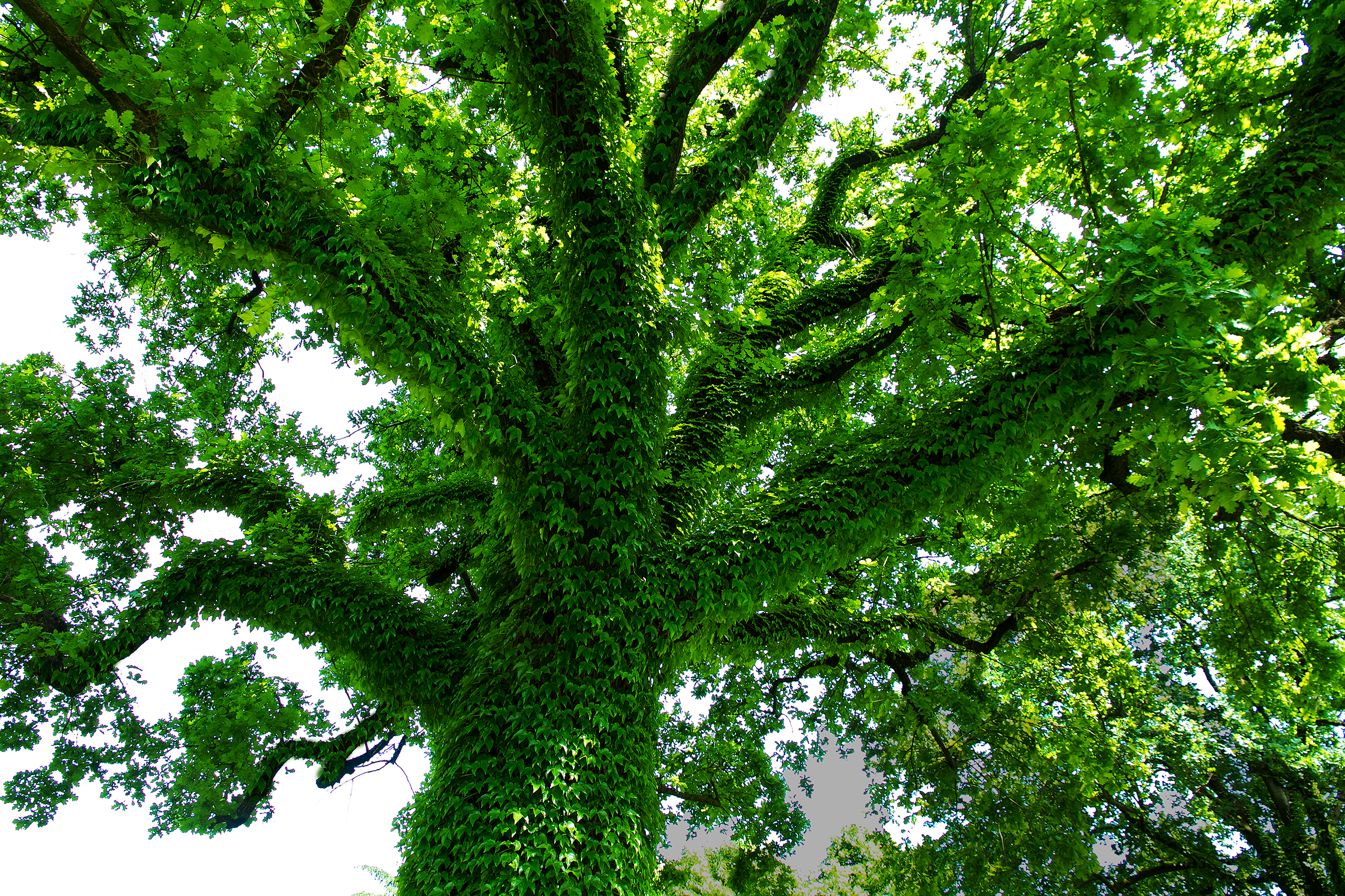 difficult to survive in these conditions