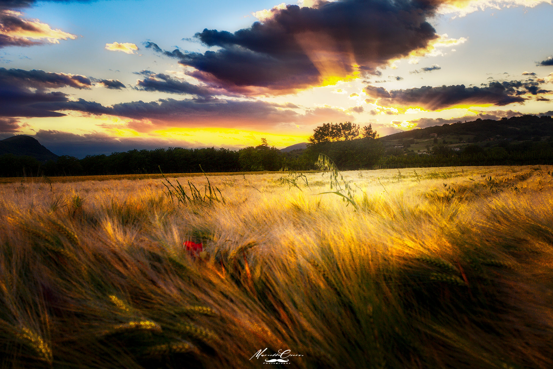 in the land of gladiators