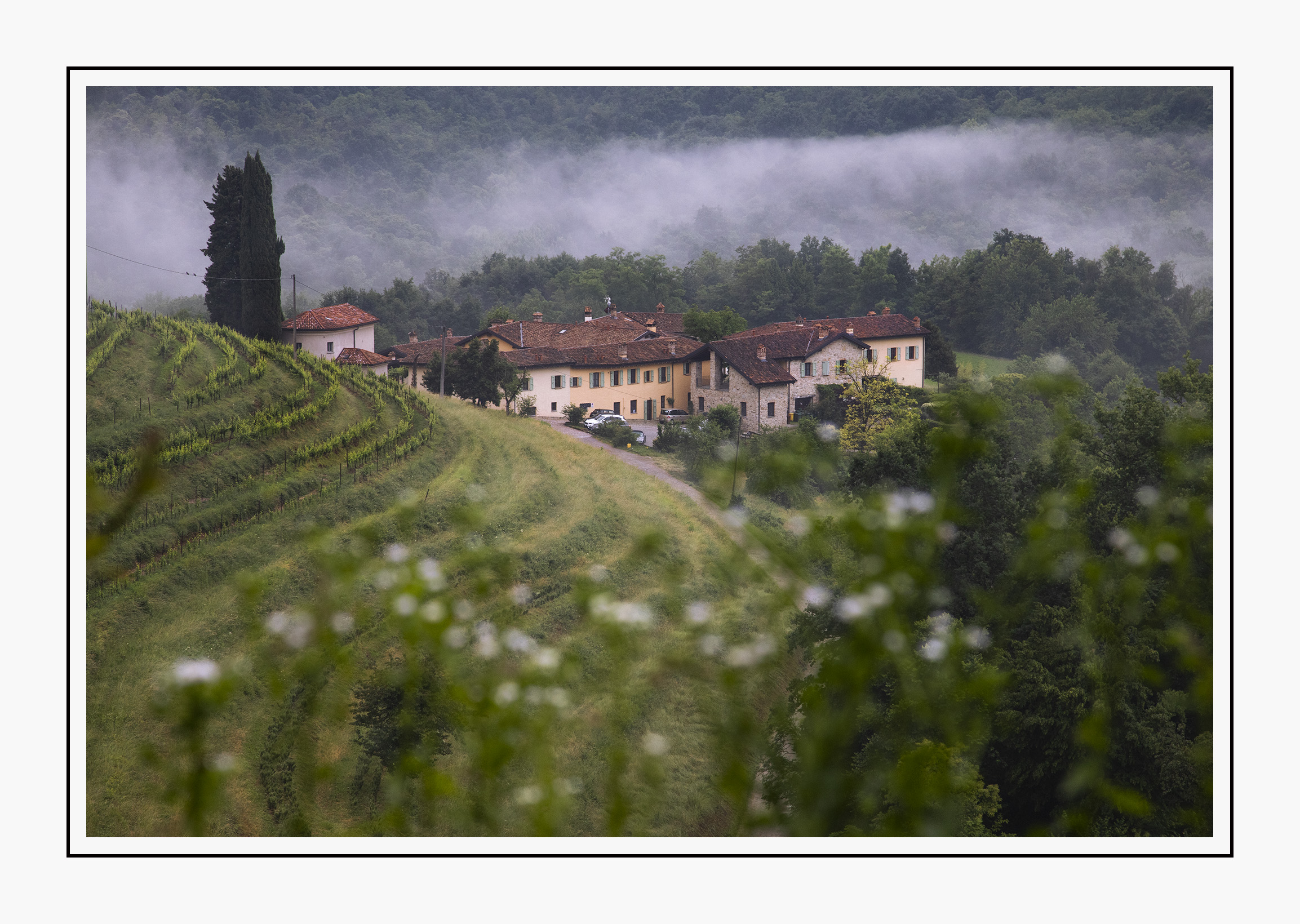 Valle del Curone
