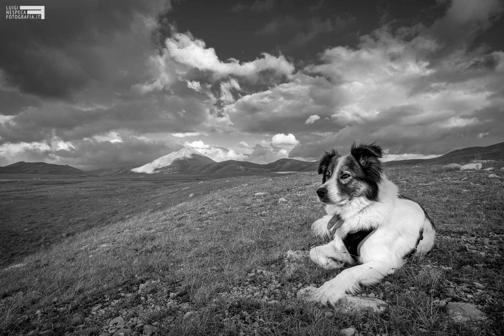 Melody ammira la Montagna - Gran Sasso