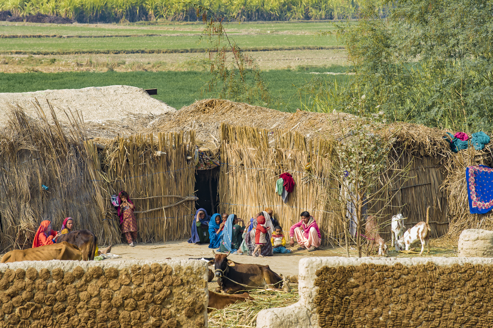 Rural Pakistan