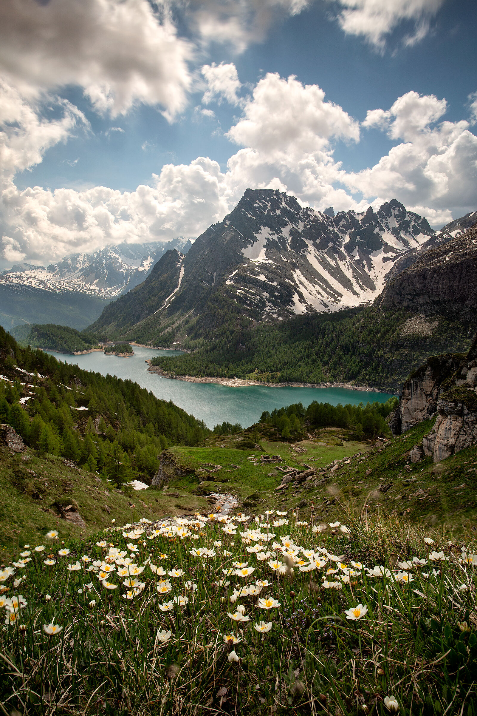 Coming down from the alps...