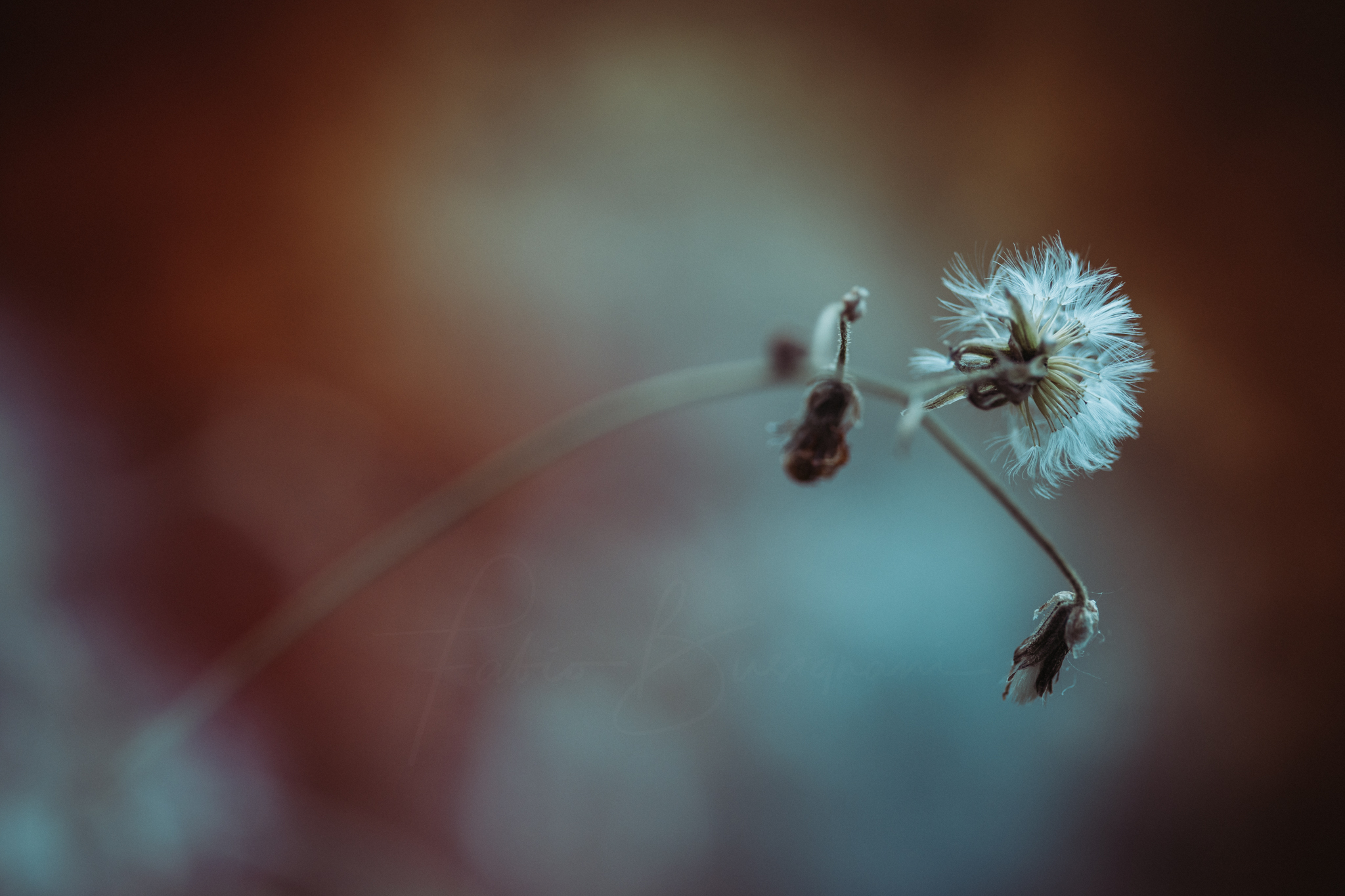 Untitled Photo
