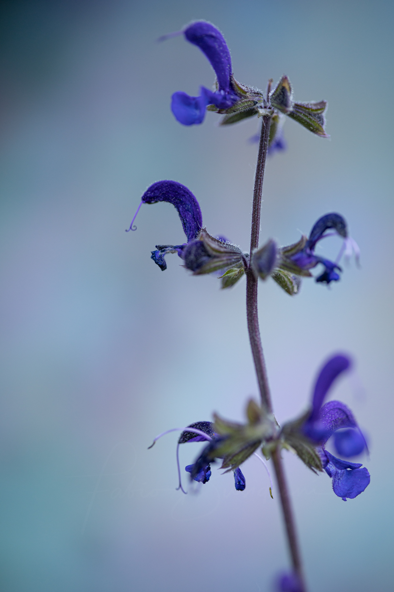 Untitled Photo