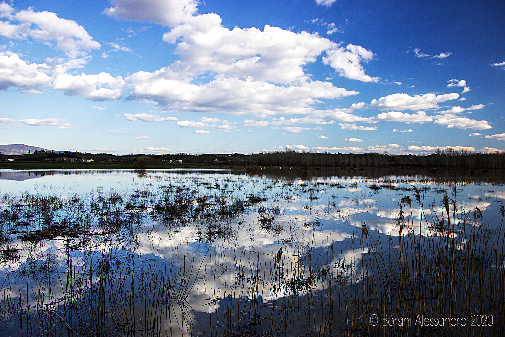 Riflessi di fine inverno - Padule di Fucecchio