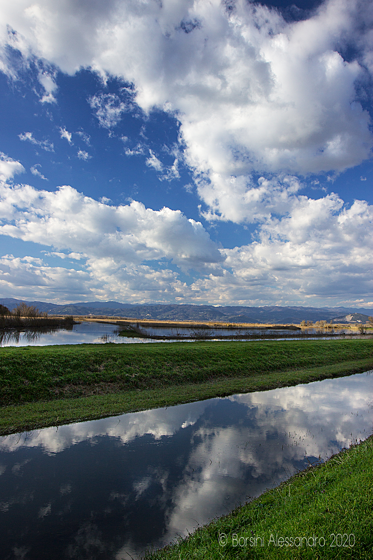 Riflessi di fine inverno -2 - Padule di Fucecchio