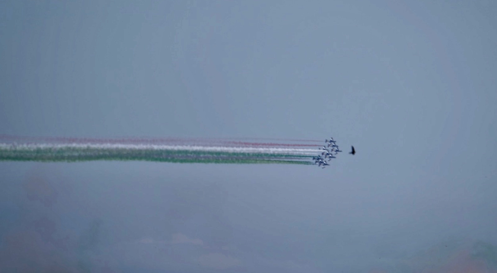 Tricolour arrows