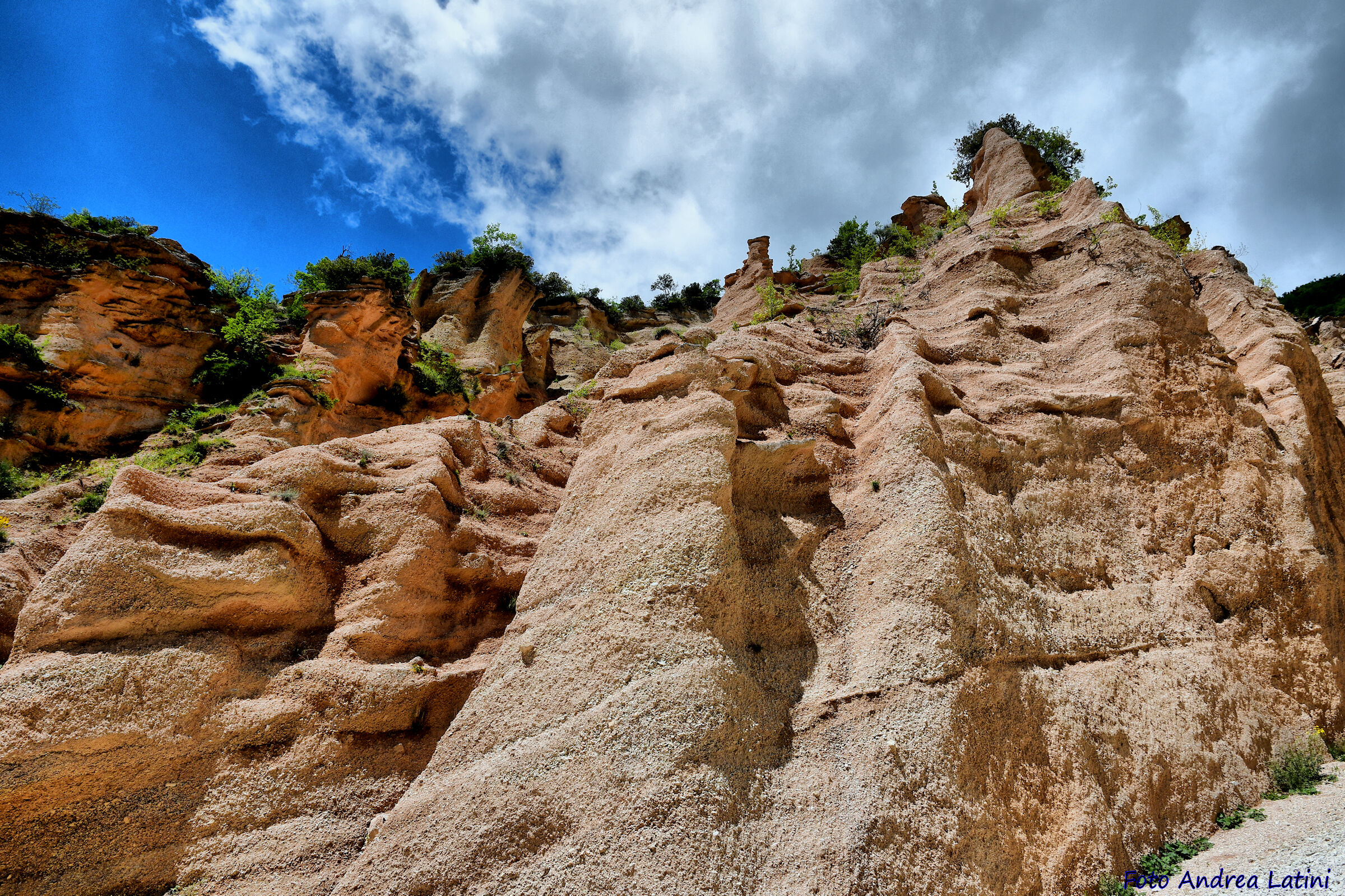 Red Blades - Fiastra (MC)