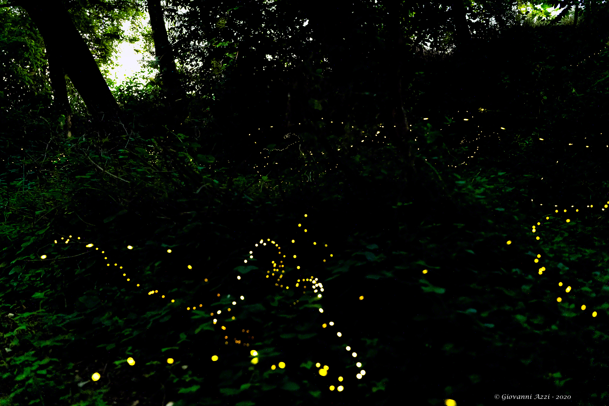 Prime prove di foto con le lucciole