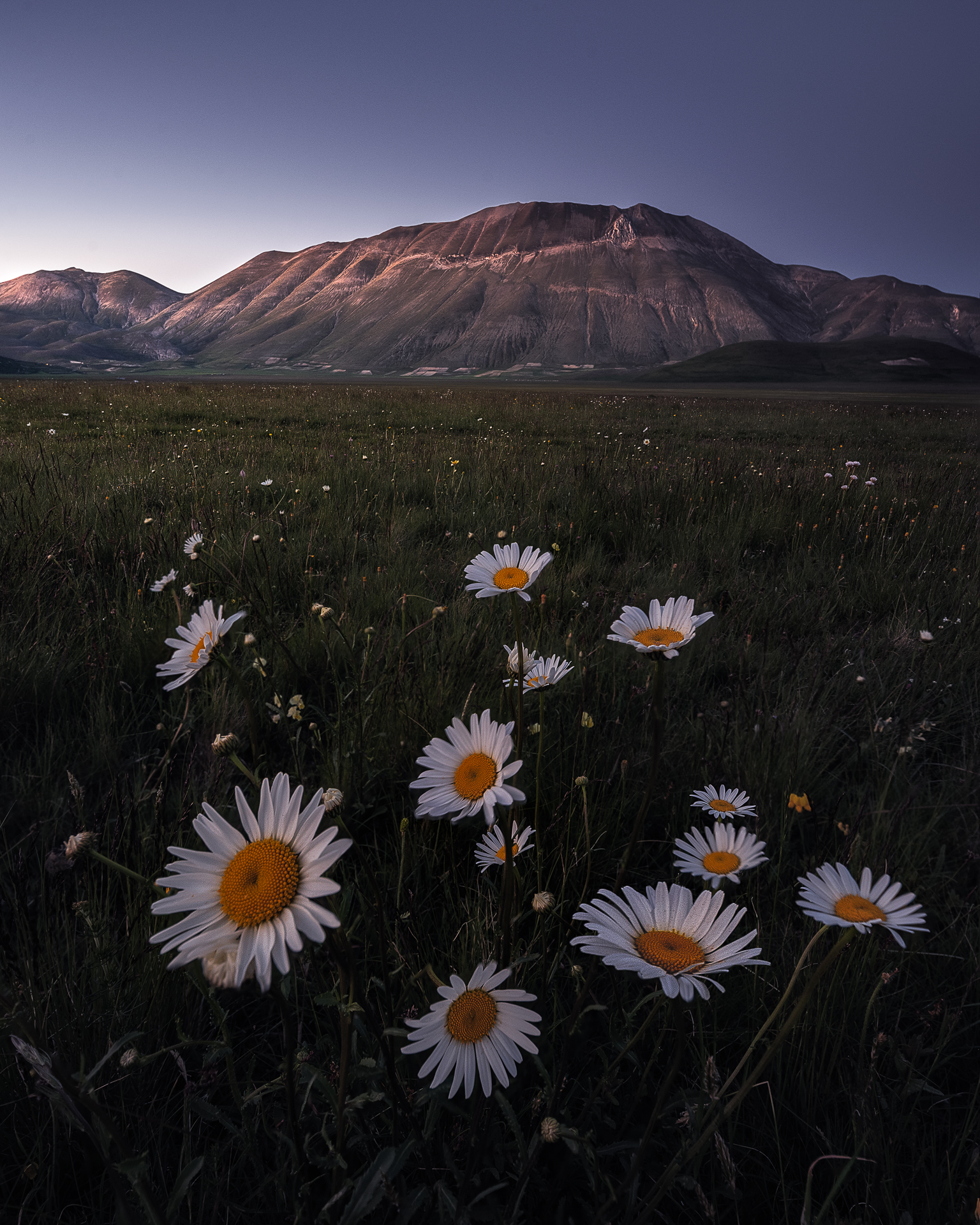 Castelluccio