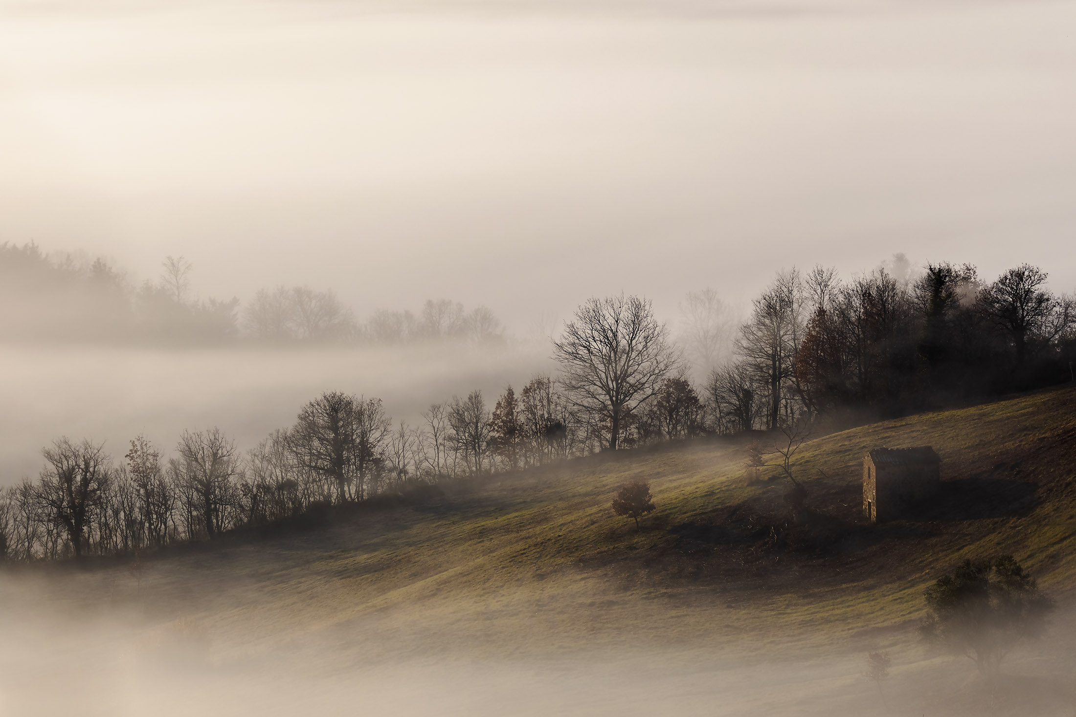 The colors of the fog