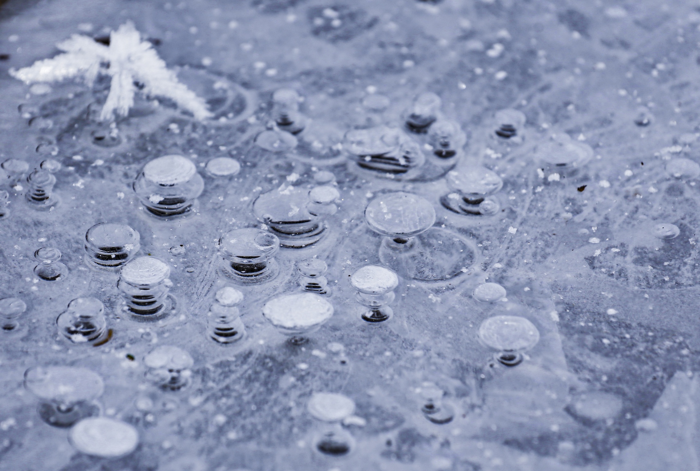 Bolle d'aria....intrappolate nel ghiaccio