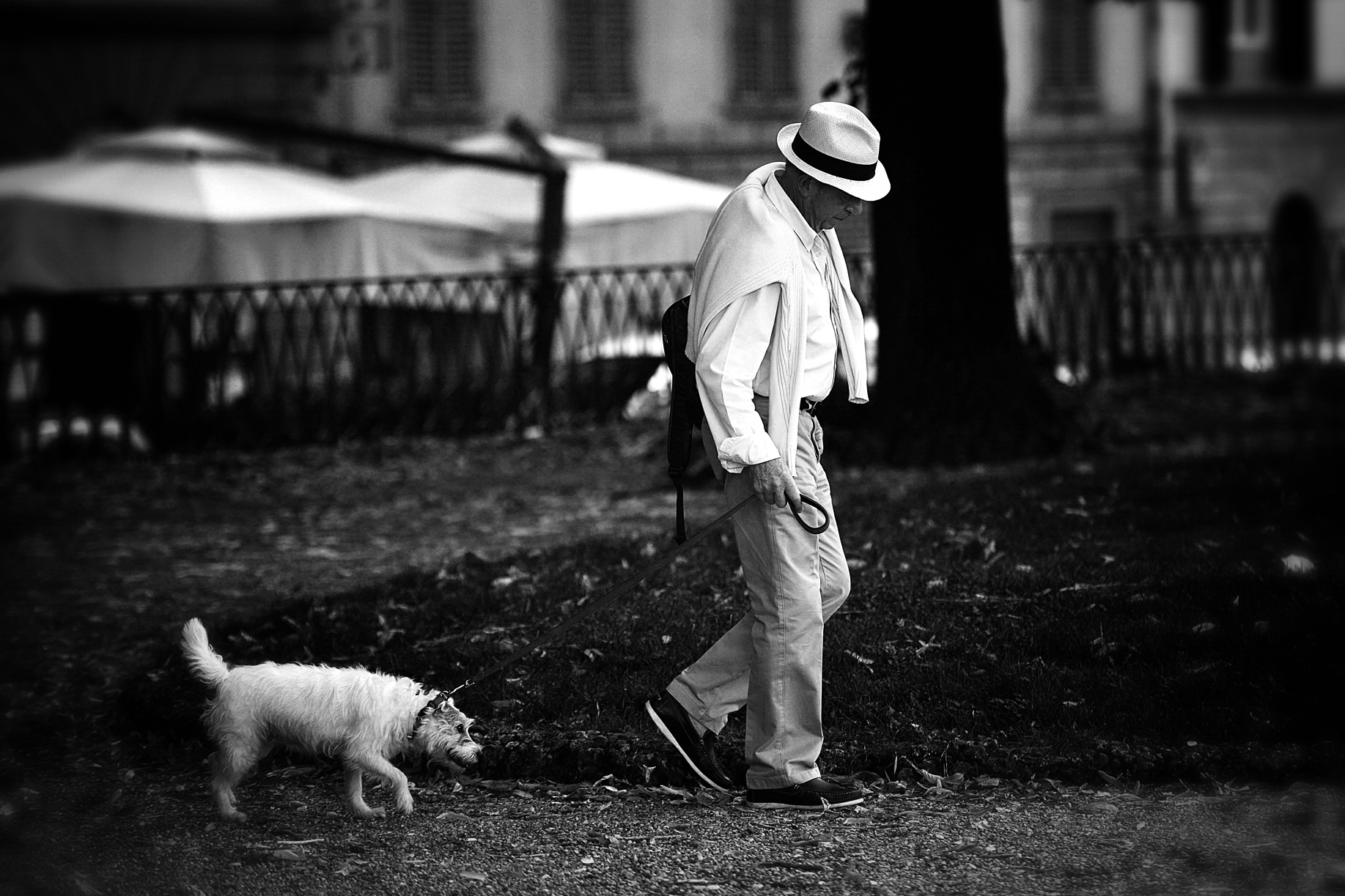 COMPANIONS OF A LIFETIME