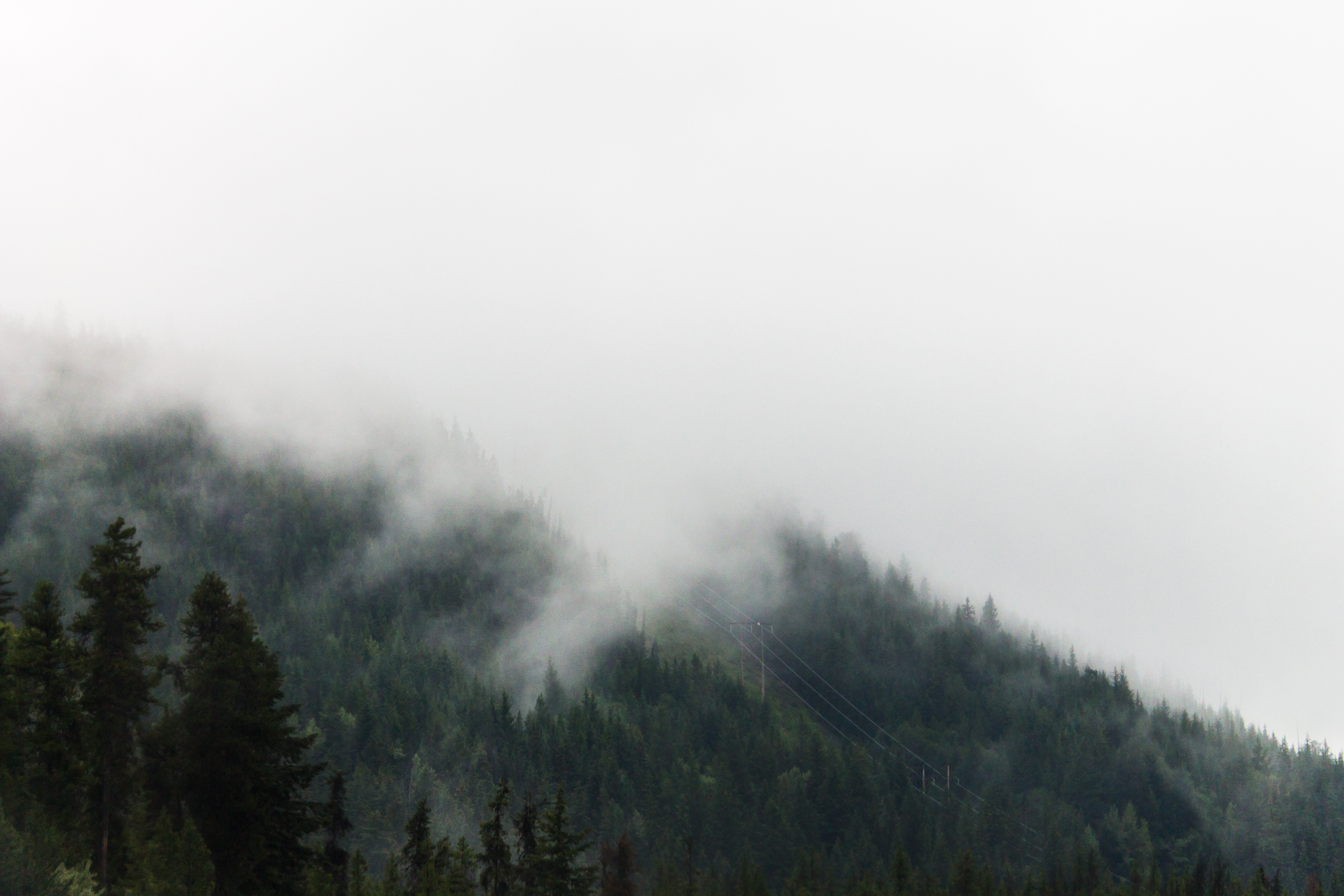 Foschia tra i boschi del Jasper National Park, Canada.