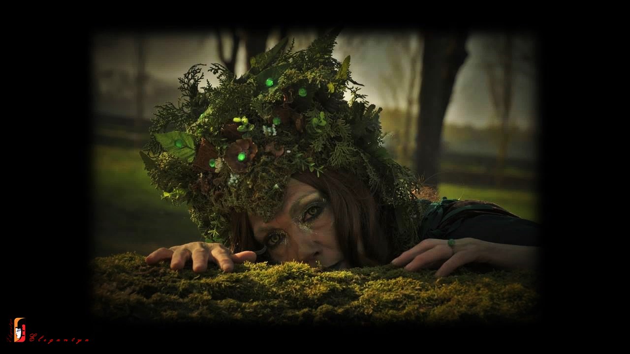 "IL bosco INCANTATO"