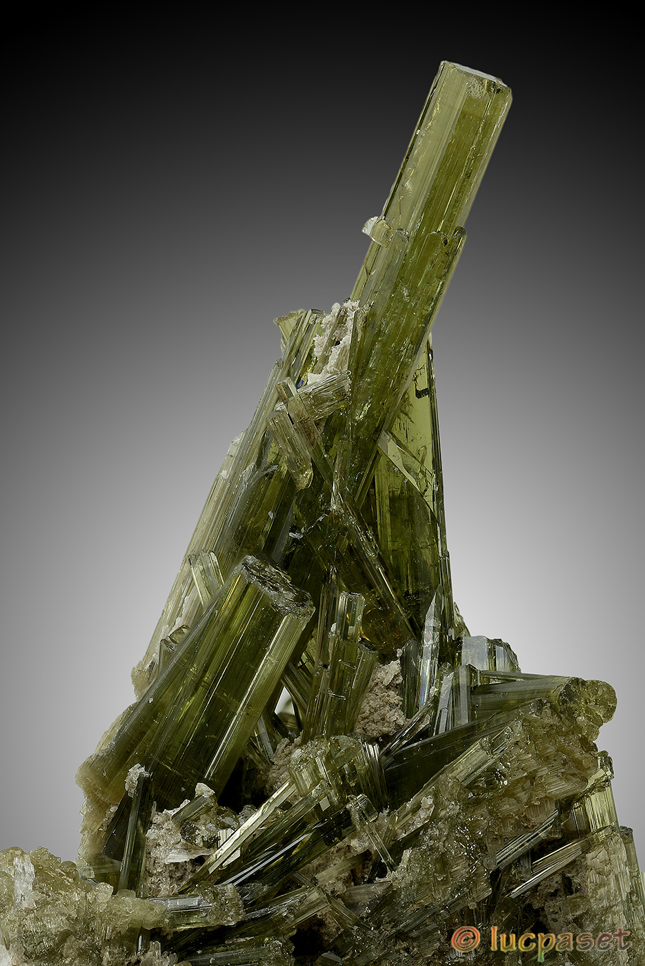 Cristalli di Vesuvianite