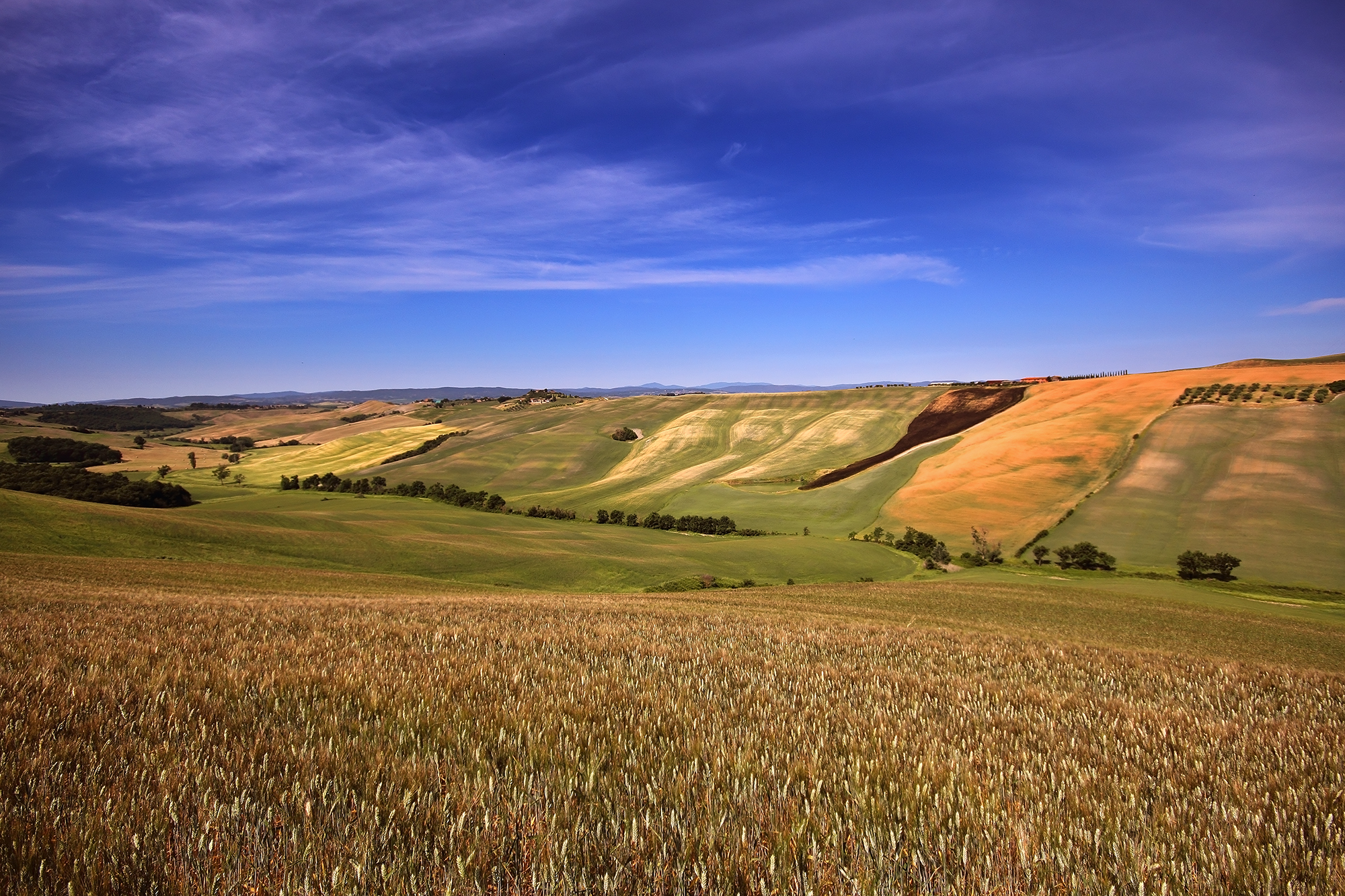 dalle crete all'Orcia